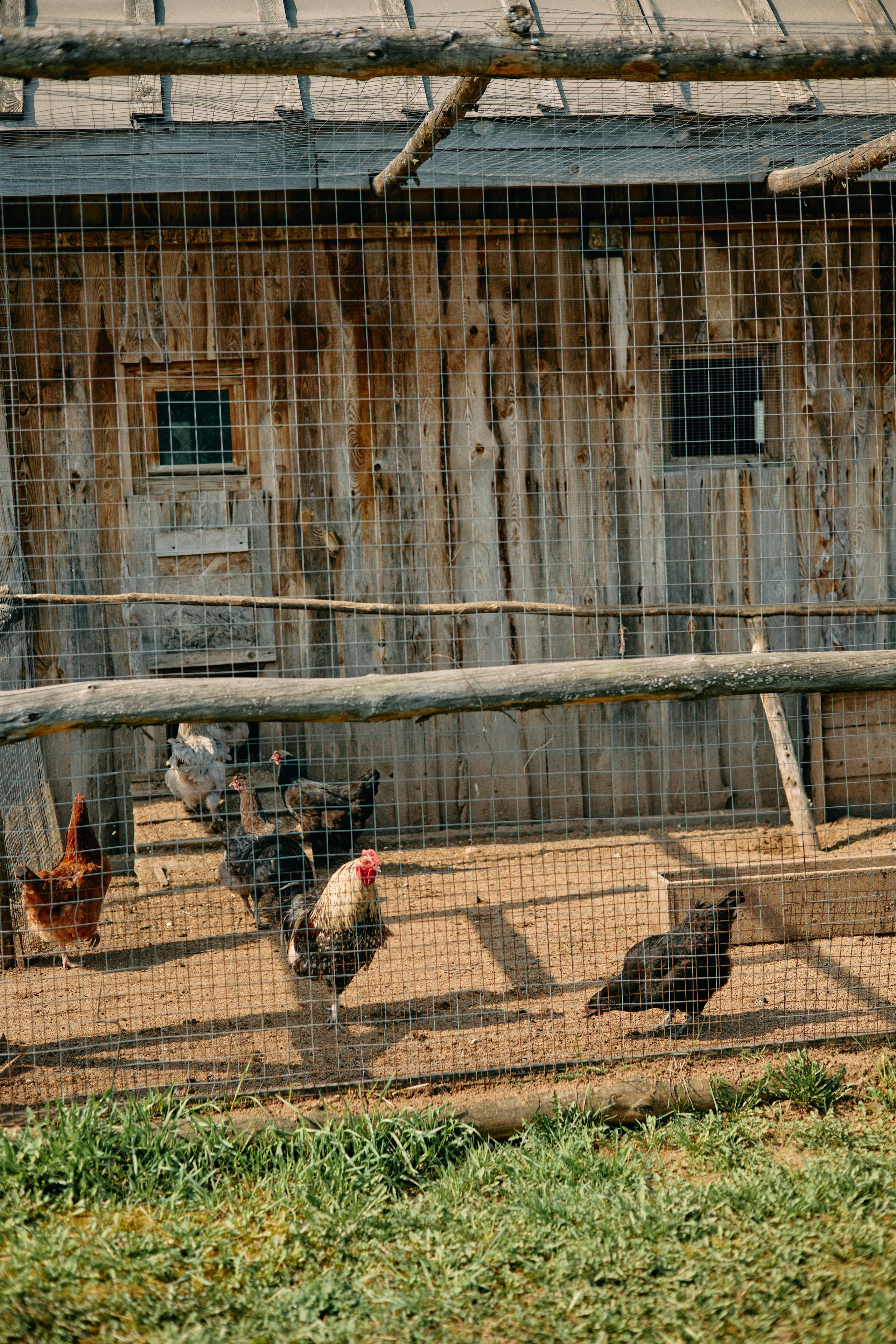 Бутик-отель Поле летом. Профессиональный Фотограф во Владимире, в Москве и в Суздале — Полина Романычева