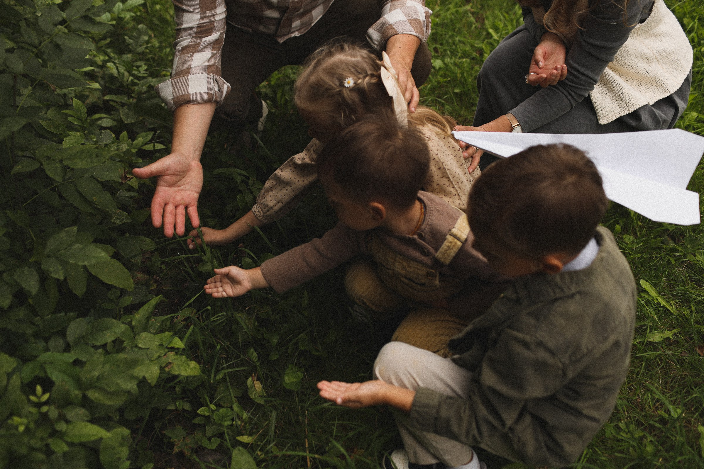 Кошки-Мышки. Семейный фотограф в Москве Алевтина Носова