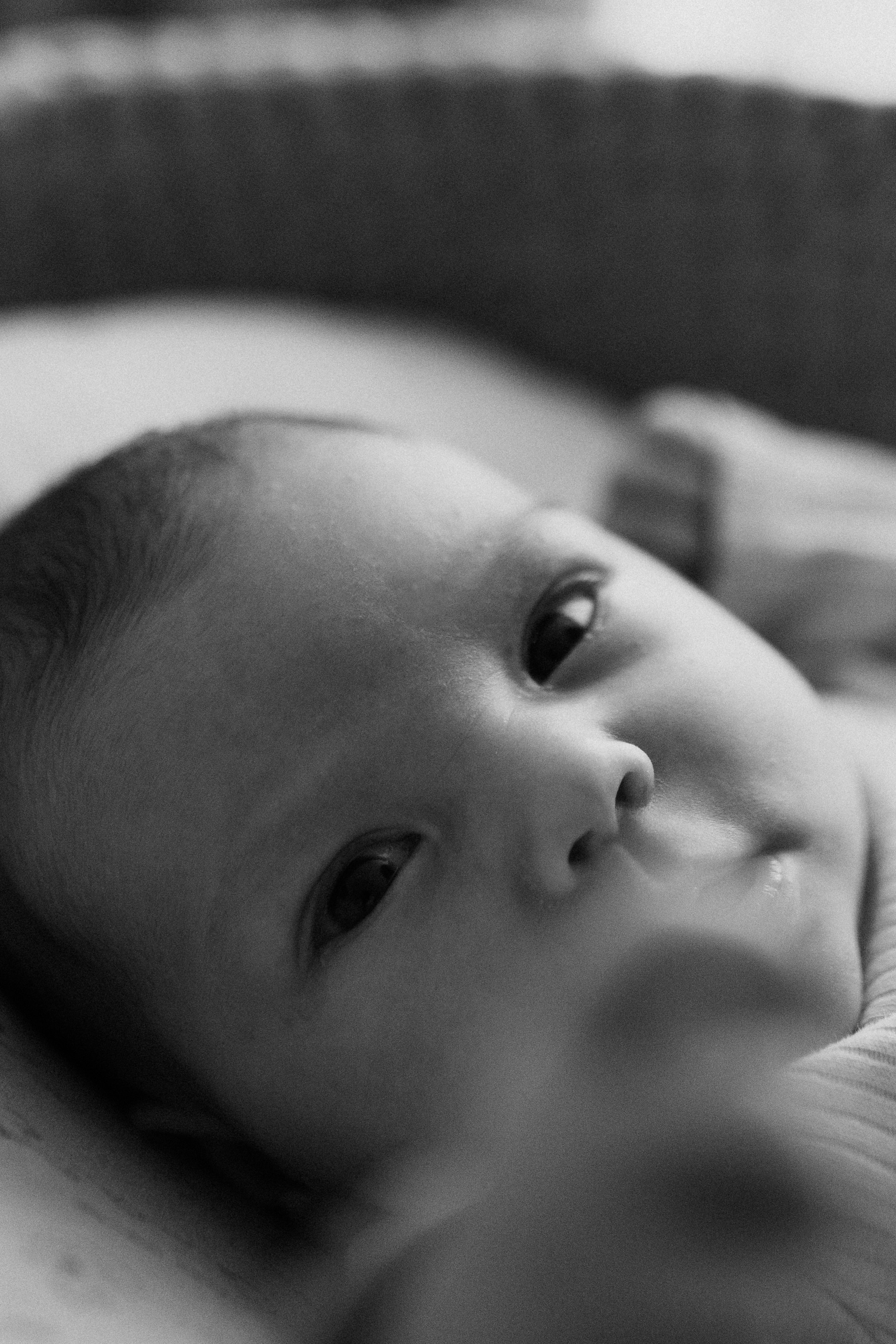 Таня и Маруся. Семейный фотограф Москва