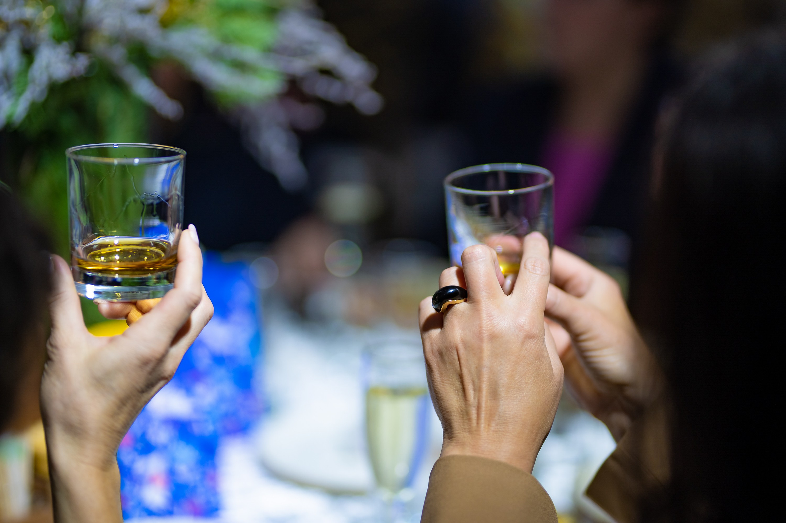 Гастроужин для инвесторов. ProfotoNK