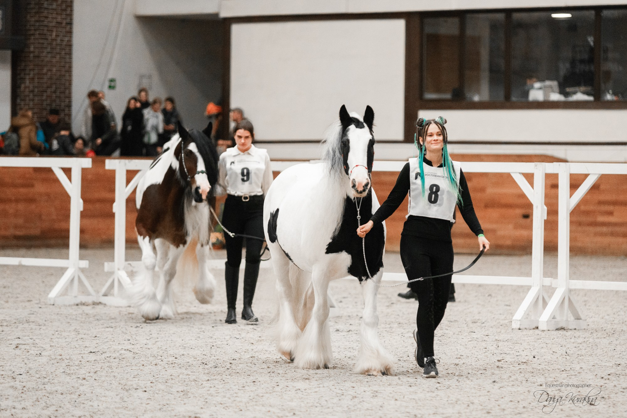 8-я международная выставка Конная Россия. Конный фотограф Куракина Дарья • Фотосессии с лошадьми