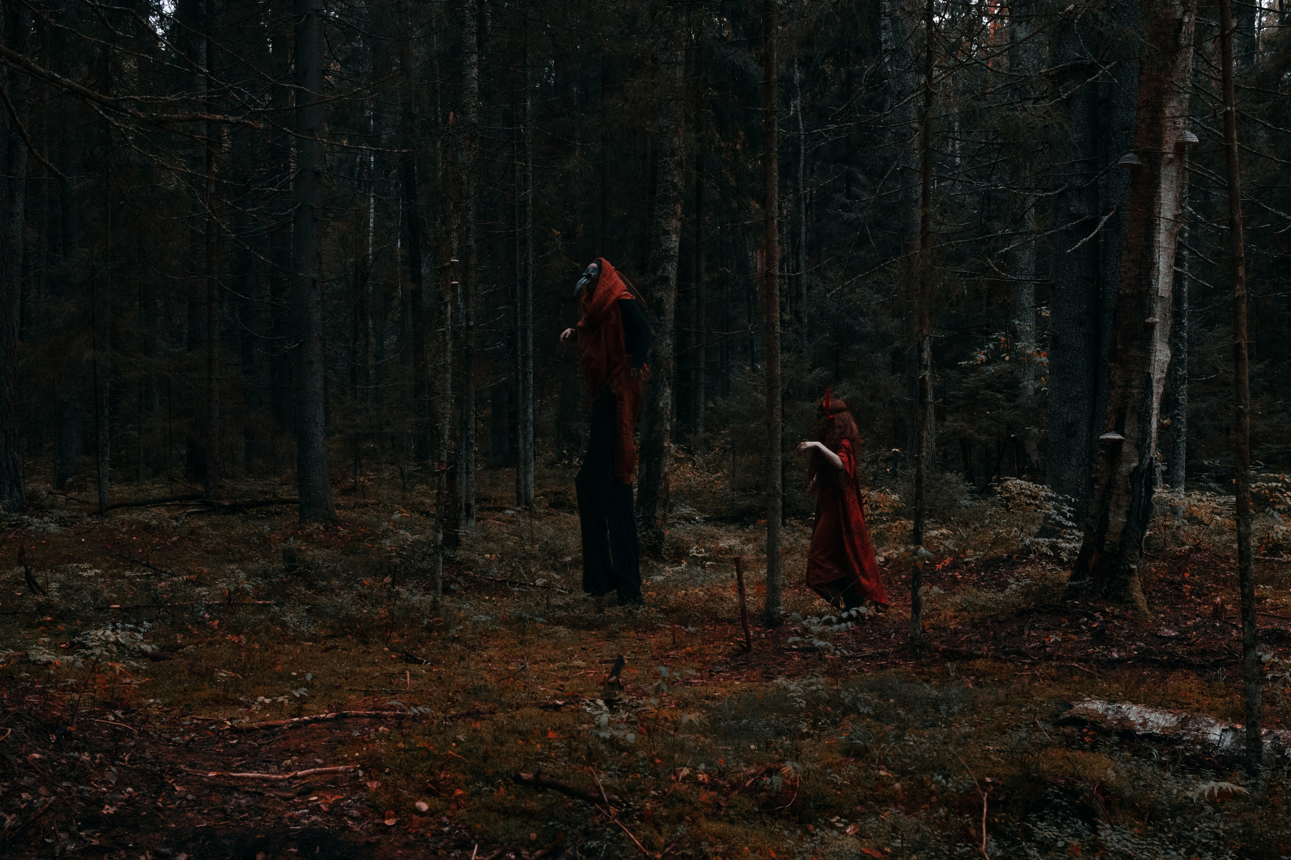 Огненная Лисица