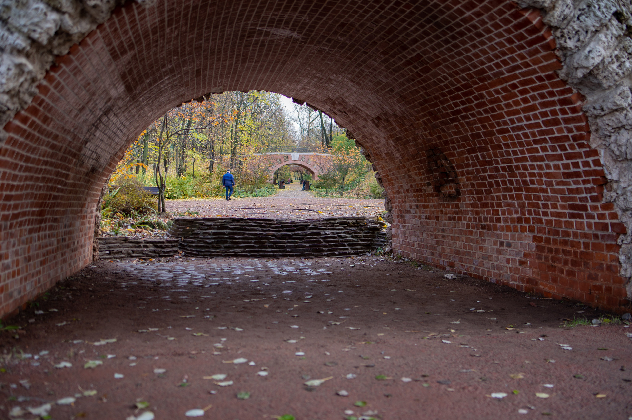 20231031 Нескучный сад. Дмитрий Ремизов. Фотография, как хобби