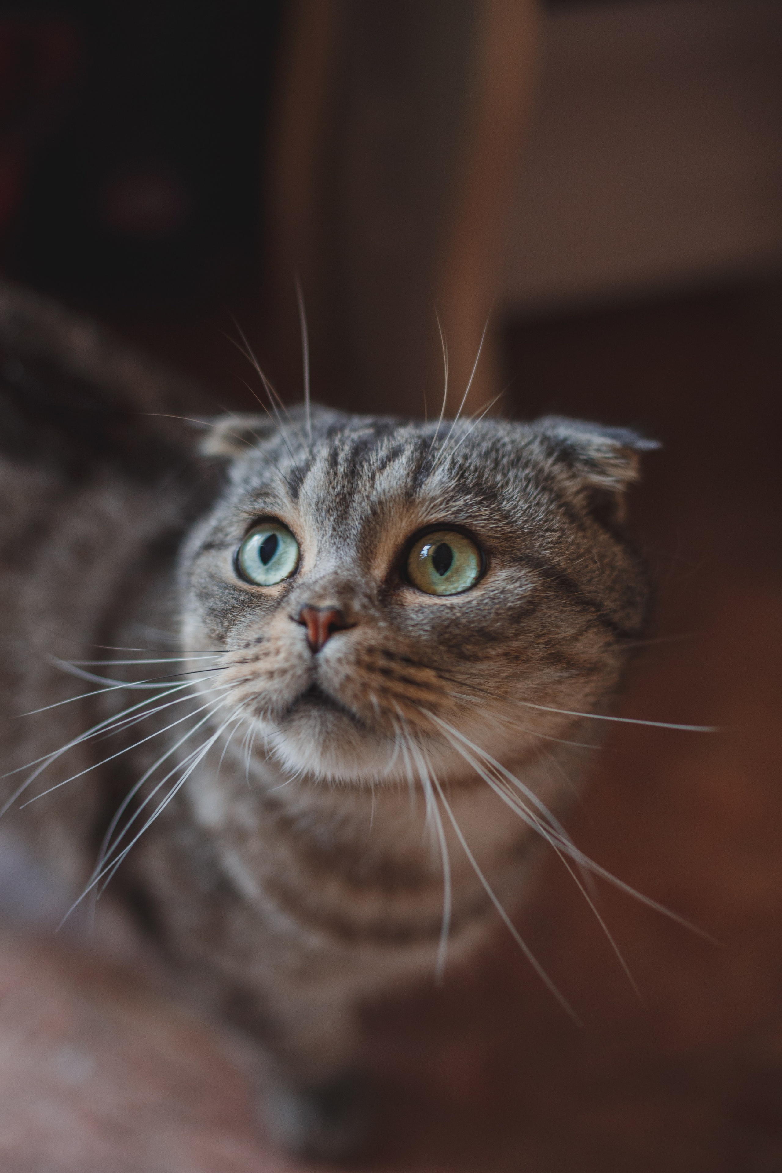 Дмитрий и Марина. Свадебный и контент фотограф в Белгороде Ярослав Гаврилейченко