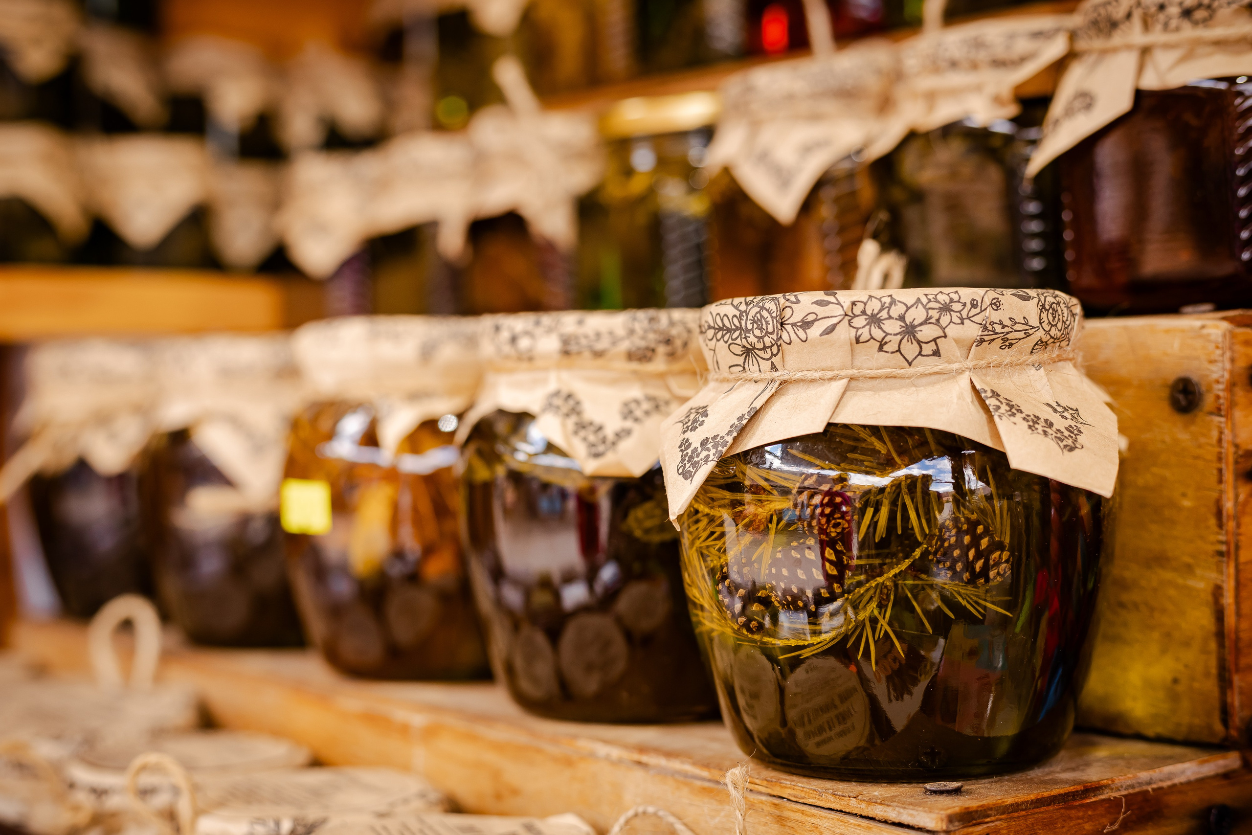 Фотосъемка собак, щенков, на выставках, фотограф анималист Россия воронеж. Питомник собак Акита, Хаски, Корги