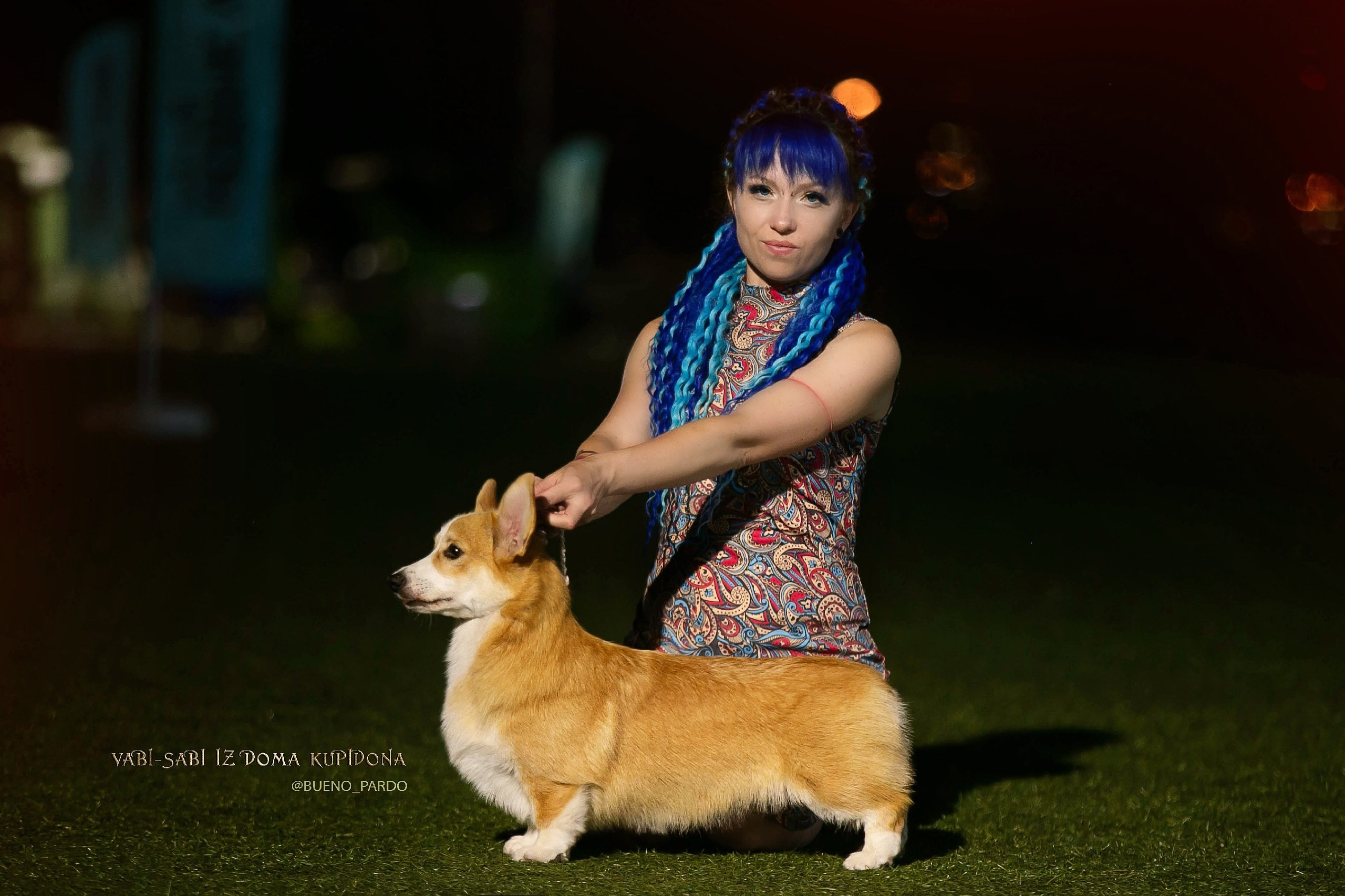 Щенки вельш корги пемброк из питомника. Питомник собак Акита, Хаски, Корги