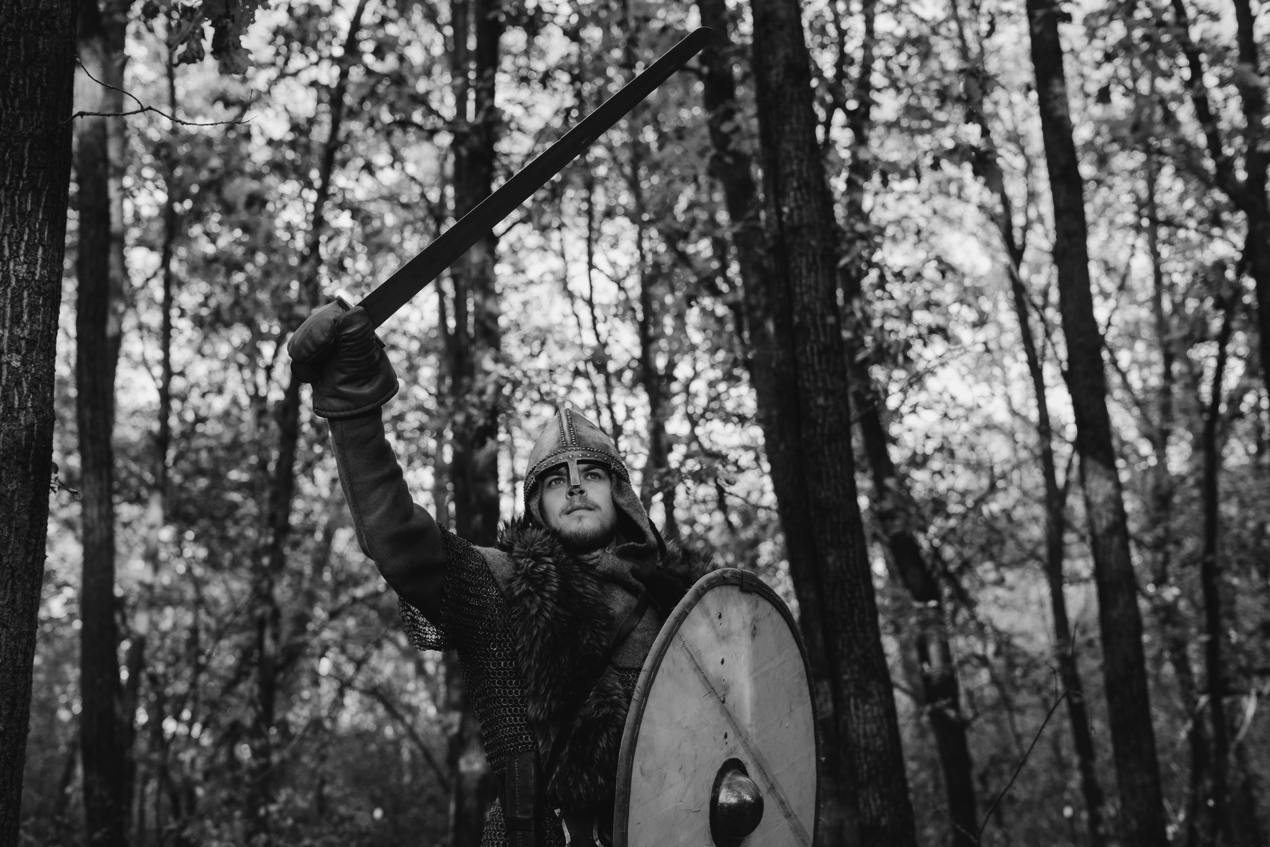 Викинг. Ab extra