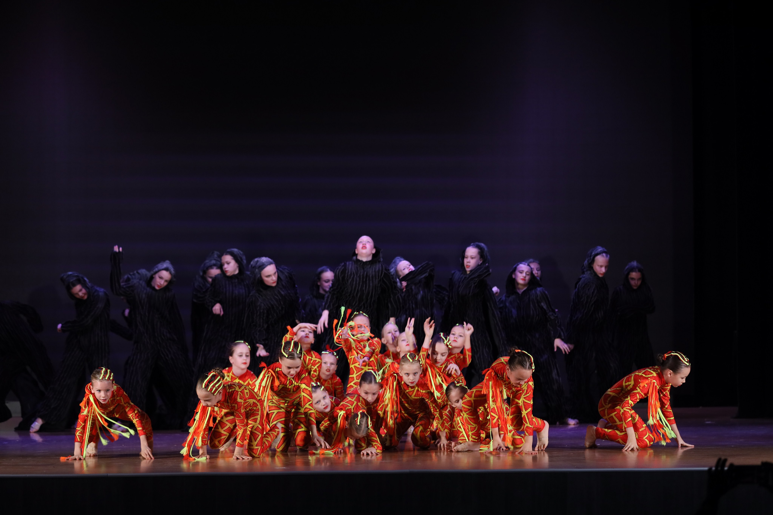 4 ноября, блок 1, видео, номера 49-58, г. Краснодар. Золотое яблочко