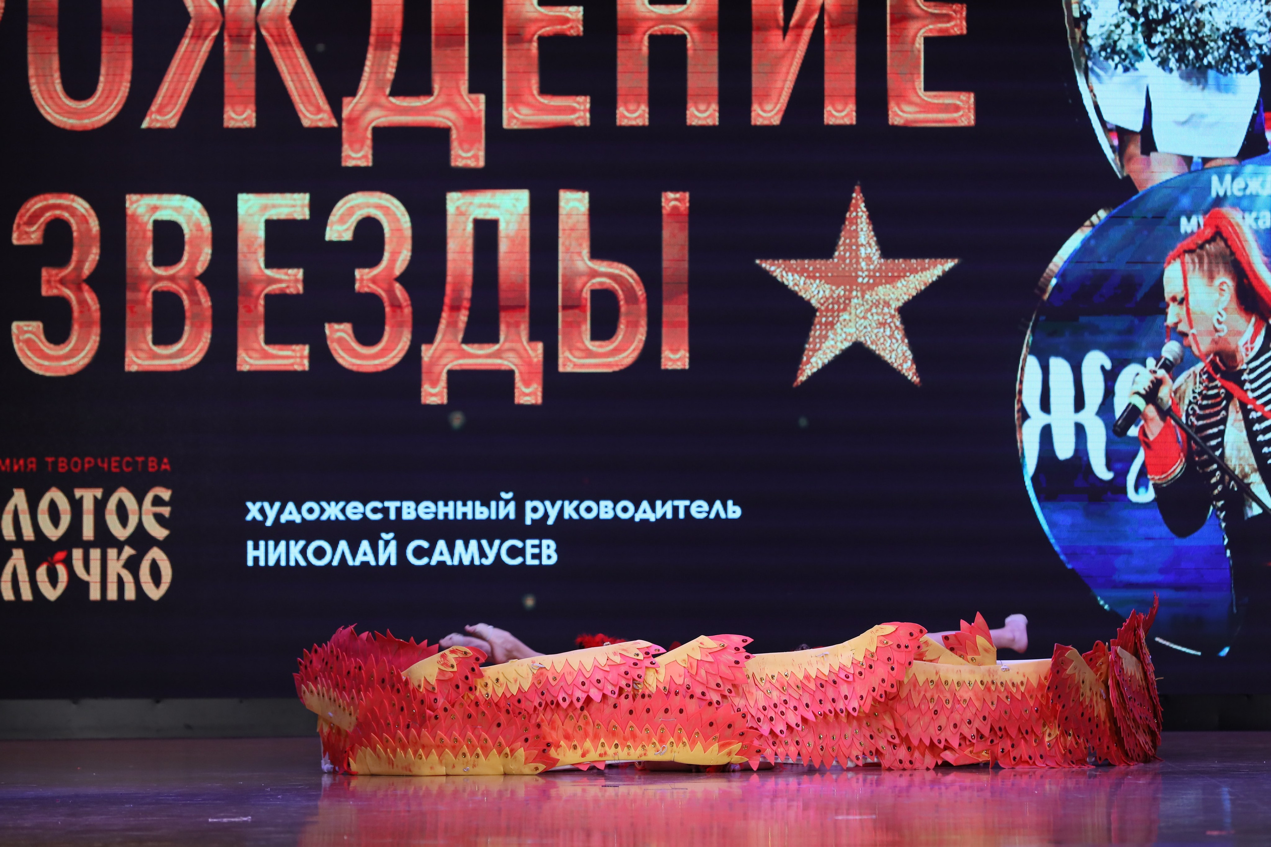 4 ноября, блок 1, видео, номера 14-29, г. Краснодар. Золотое яблочко