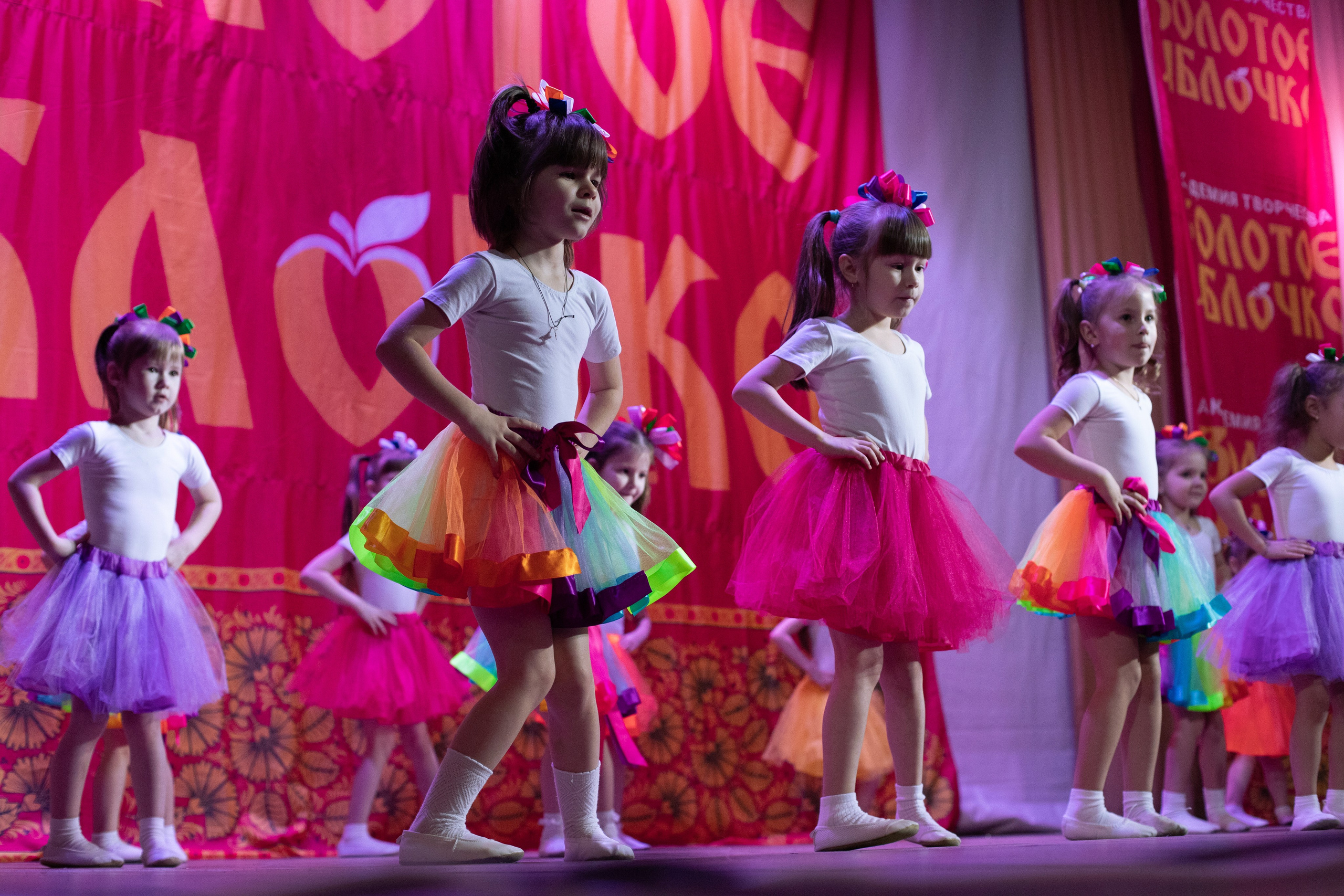 1 февраля, г. Мурманск. Золотое яблочко