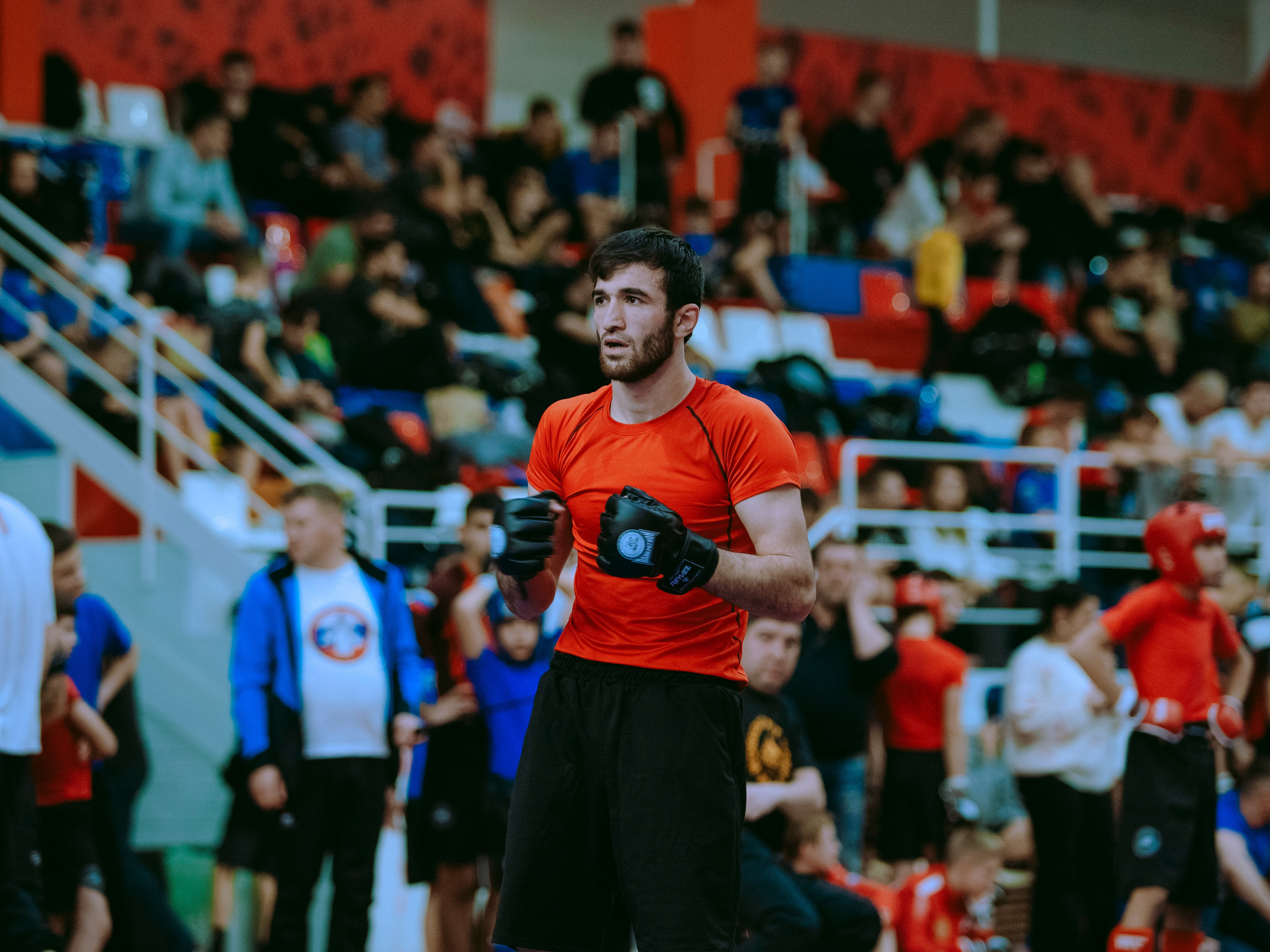 Кубок России по спортивной борьбе панкратион `23. Портретный фотограф в Москве Дарья Цезария