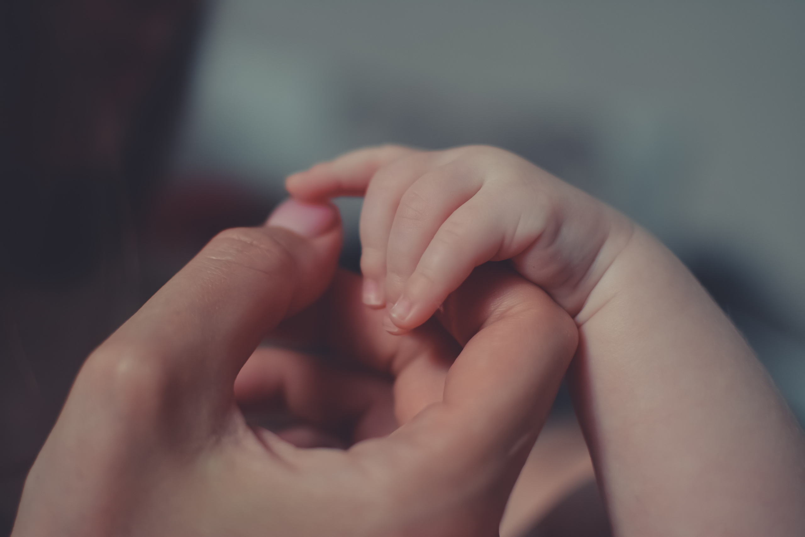 Семейные ЛАЙФ-СТАЙЛ. Фотограф Ольга Морятова