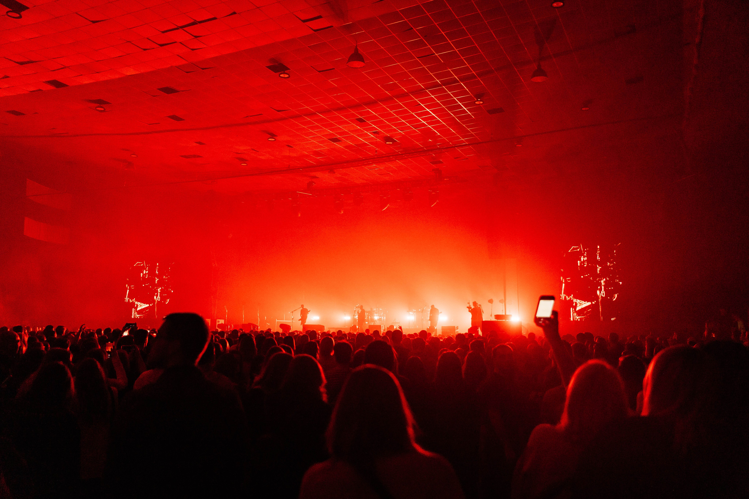 Звери. _Carpe diem_