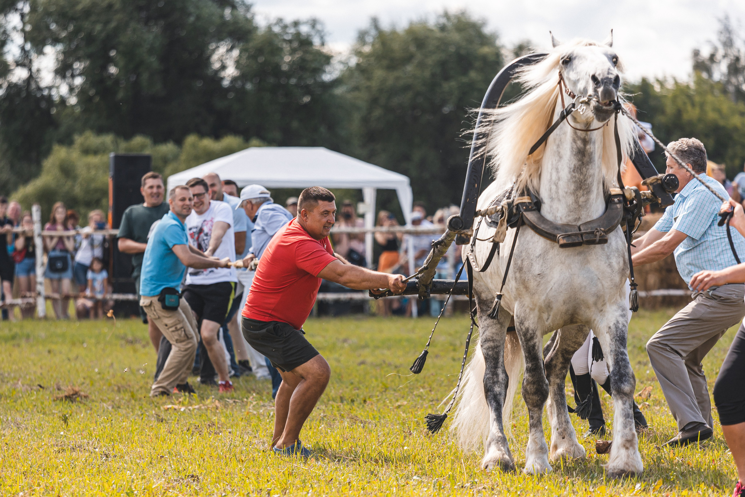Общественные и культурные события. Наталья Летунова — репортажный фотограф