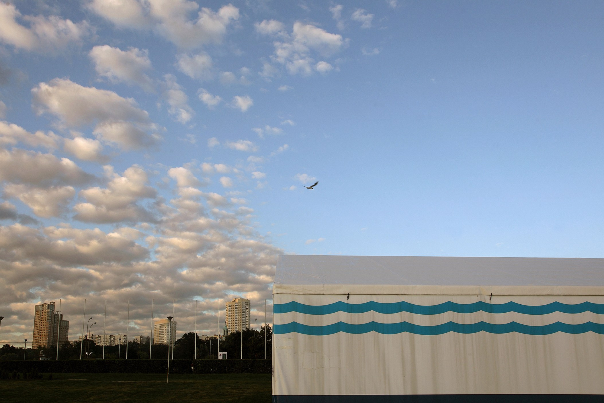 Симуляторы (Каталог № 1). Главная