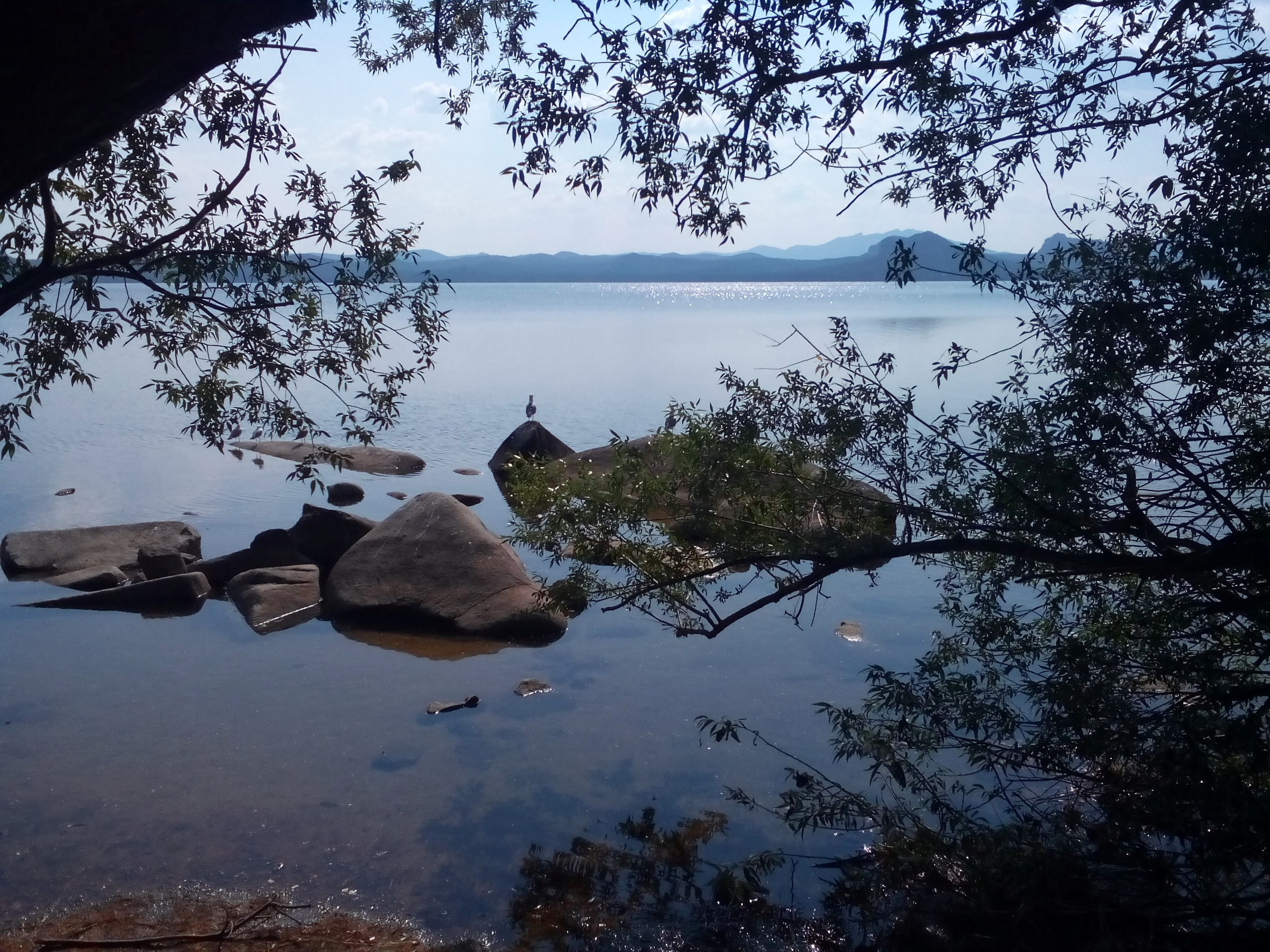 Боровое 2017 (из архива). Избранные фотографии