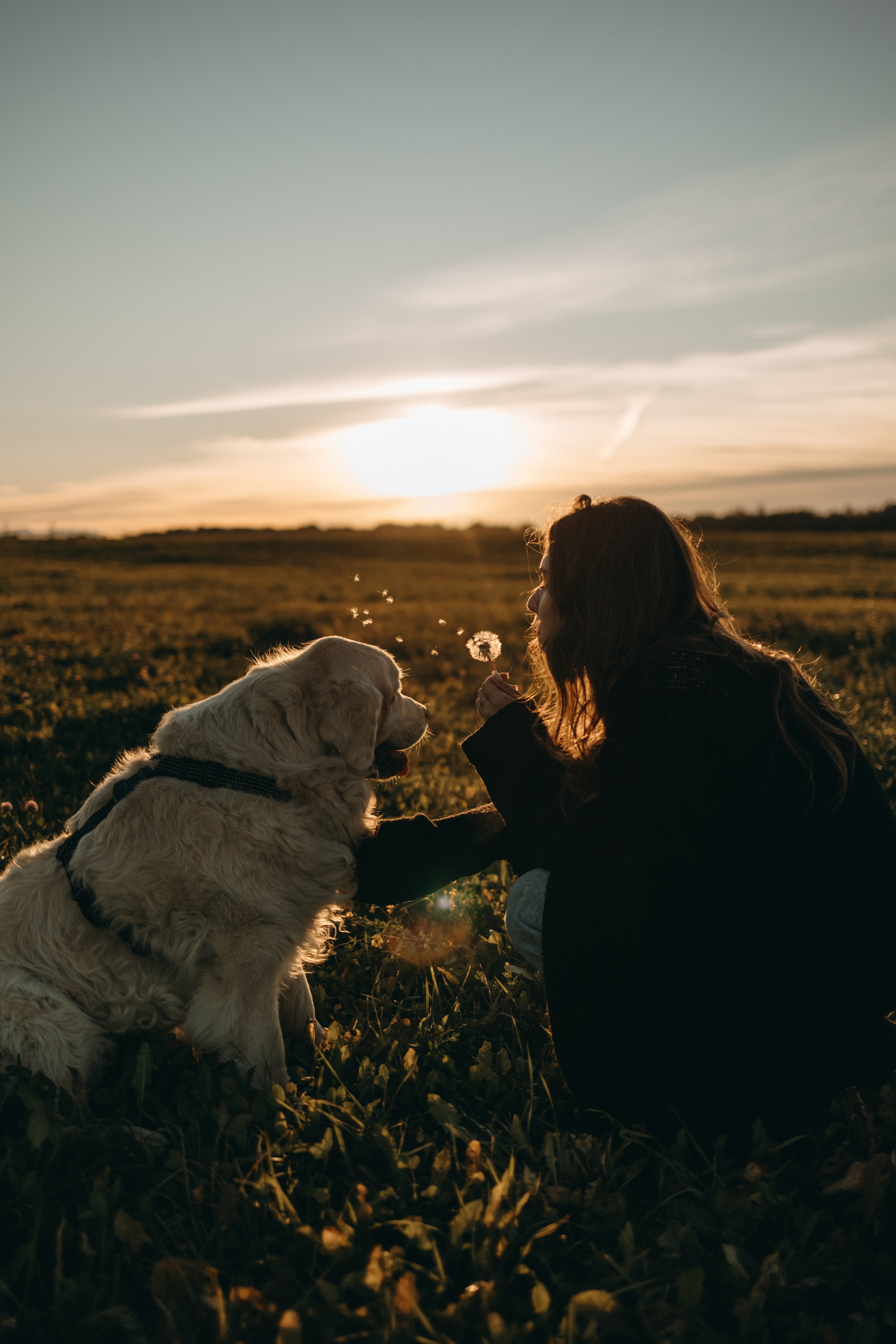 Лера и Скай. Фотограф — Анималист | Санкт-Петербург