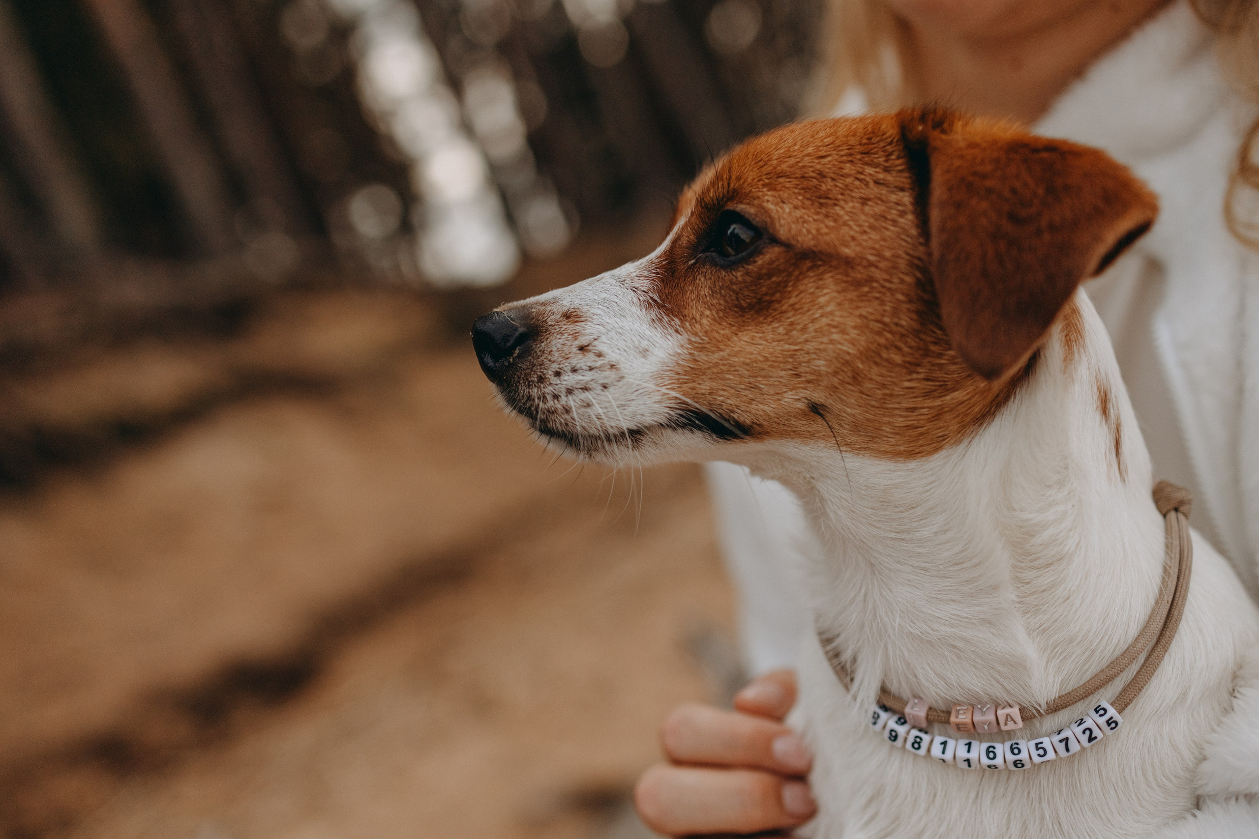 Лея и ее семья. Фотограф — Анималист | Санкт-Петербург