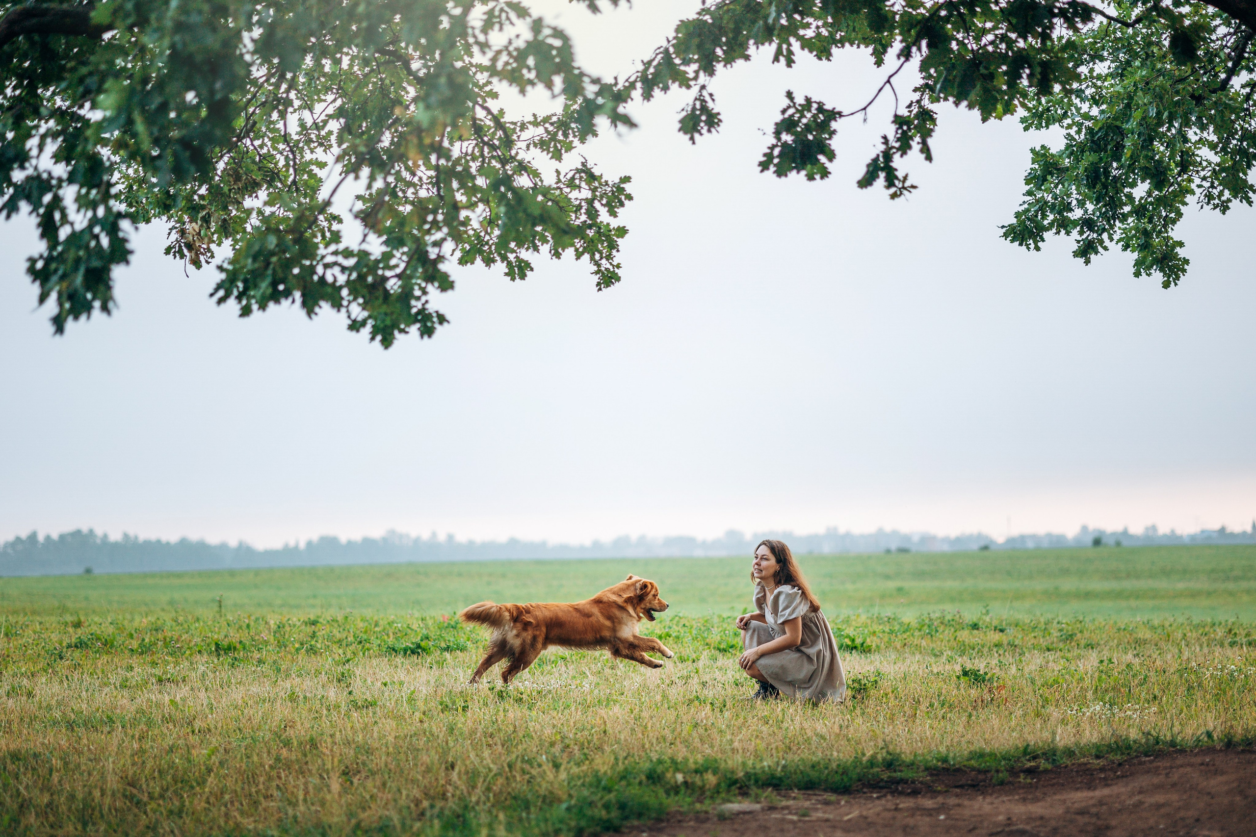 Аня и Ноллан. Фотограф — Анималист | Санкт-Петербург