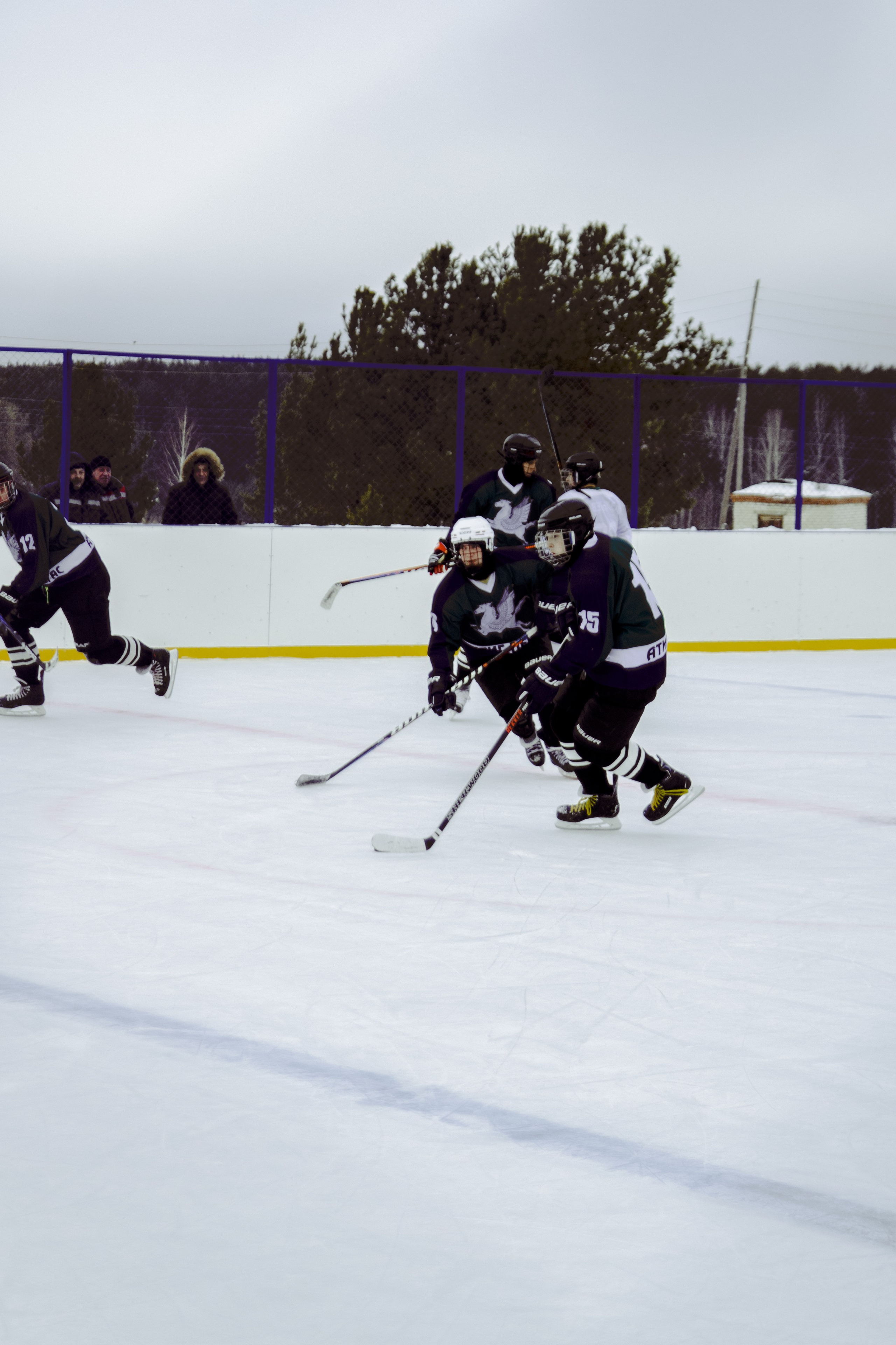 Хоккей 29.12.2024