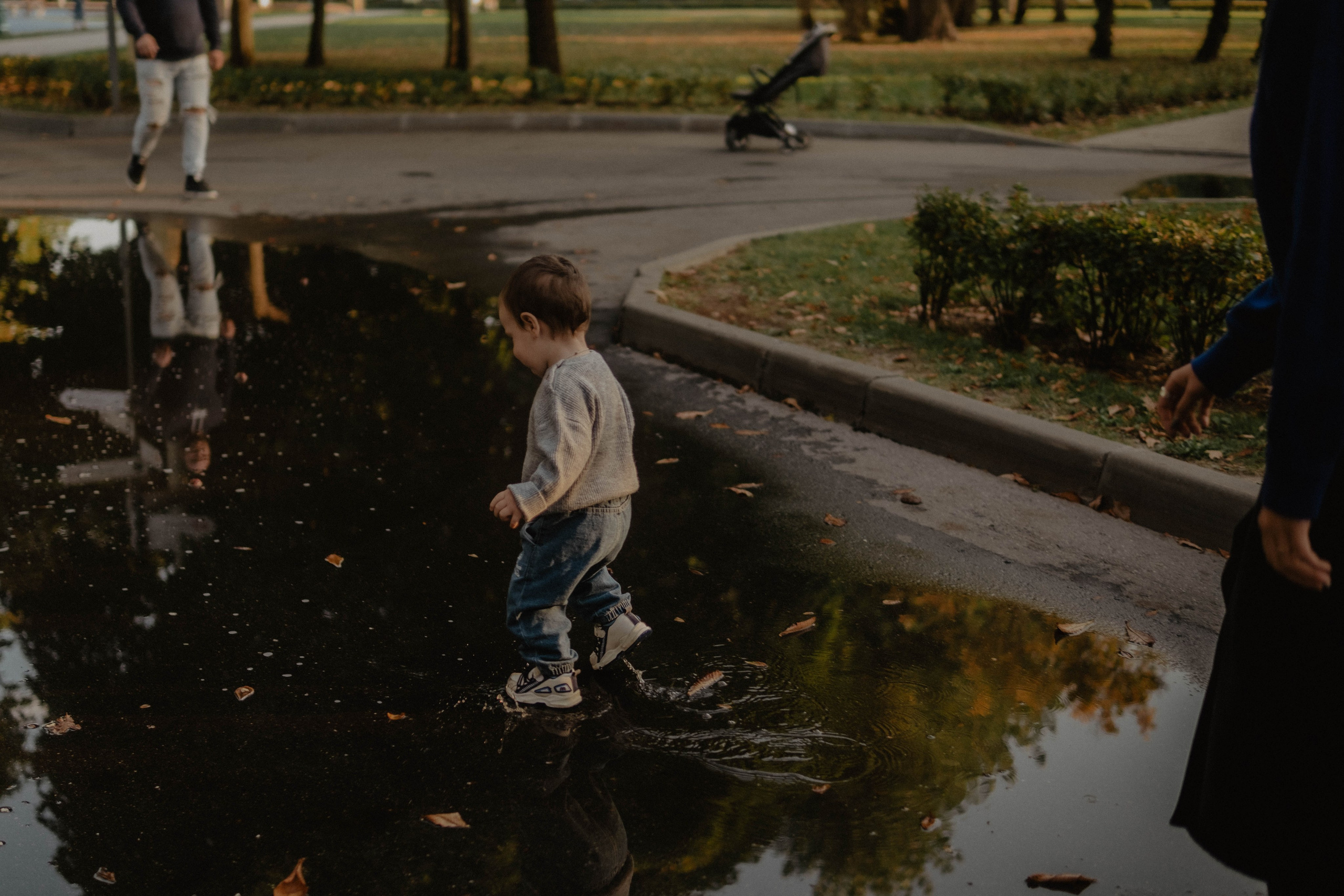 Ксюня, Ваня, Марк и 🐶. Свадебный фотограф Оля Григунова