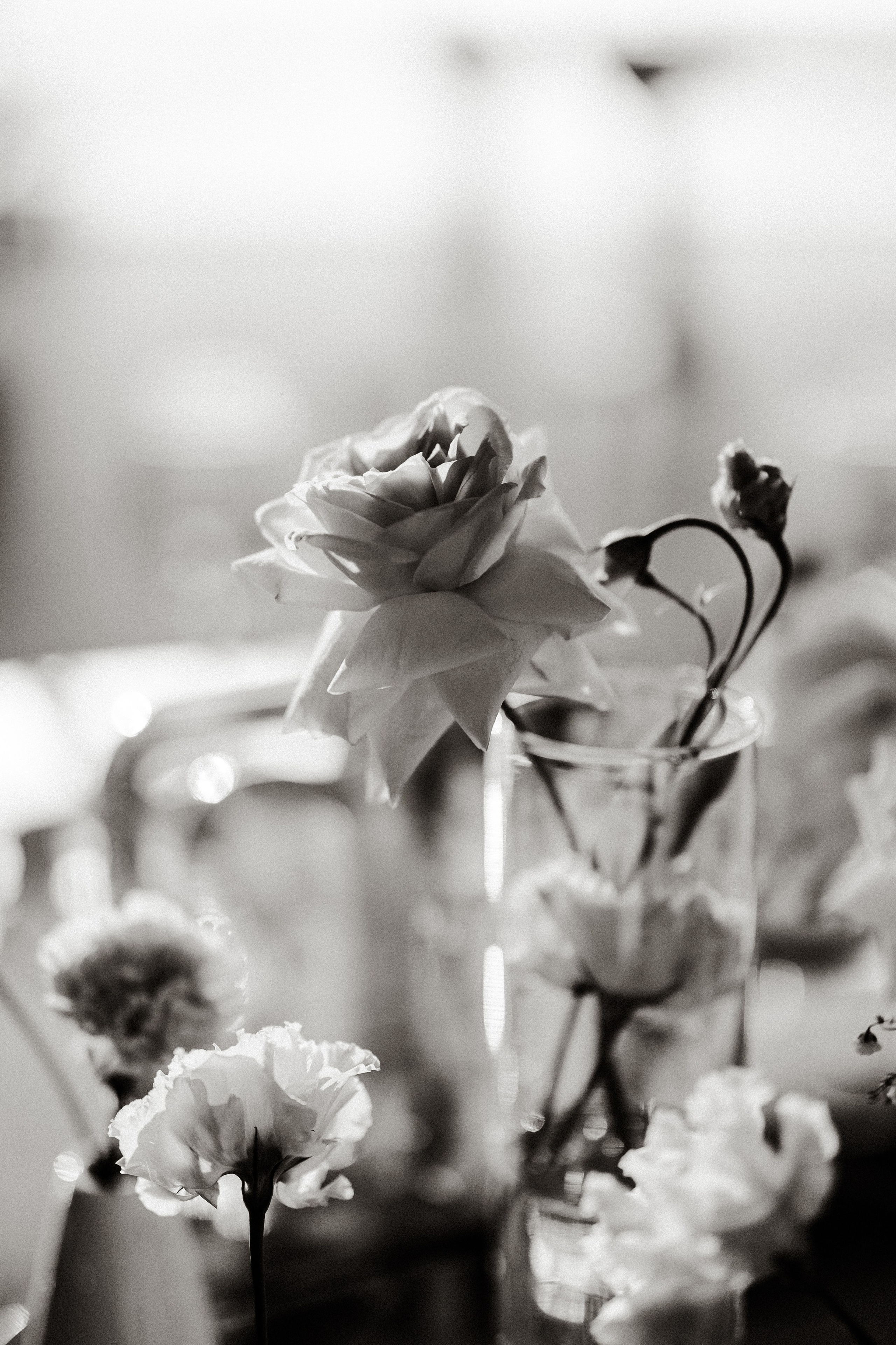 Лиза и Митя. Daria Chigintseva Photographer