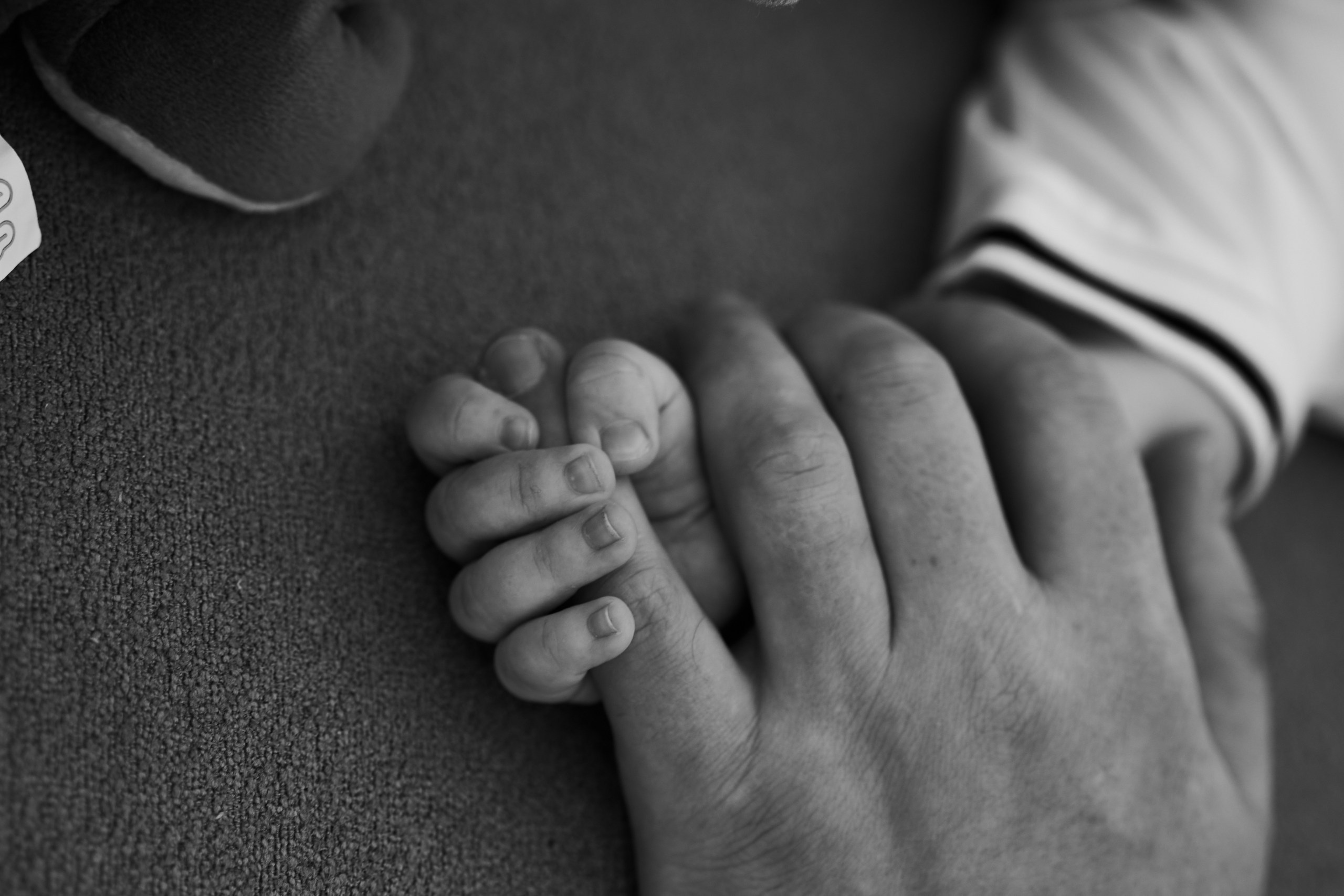 Семейная фотосессия в студии. Фотограф Екатеринбург Кокшарова Александра