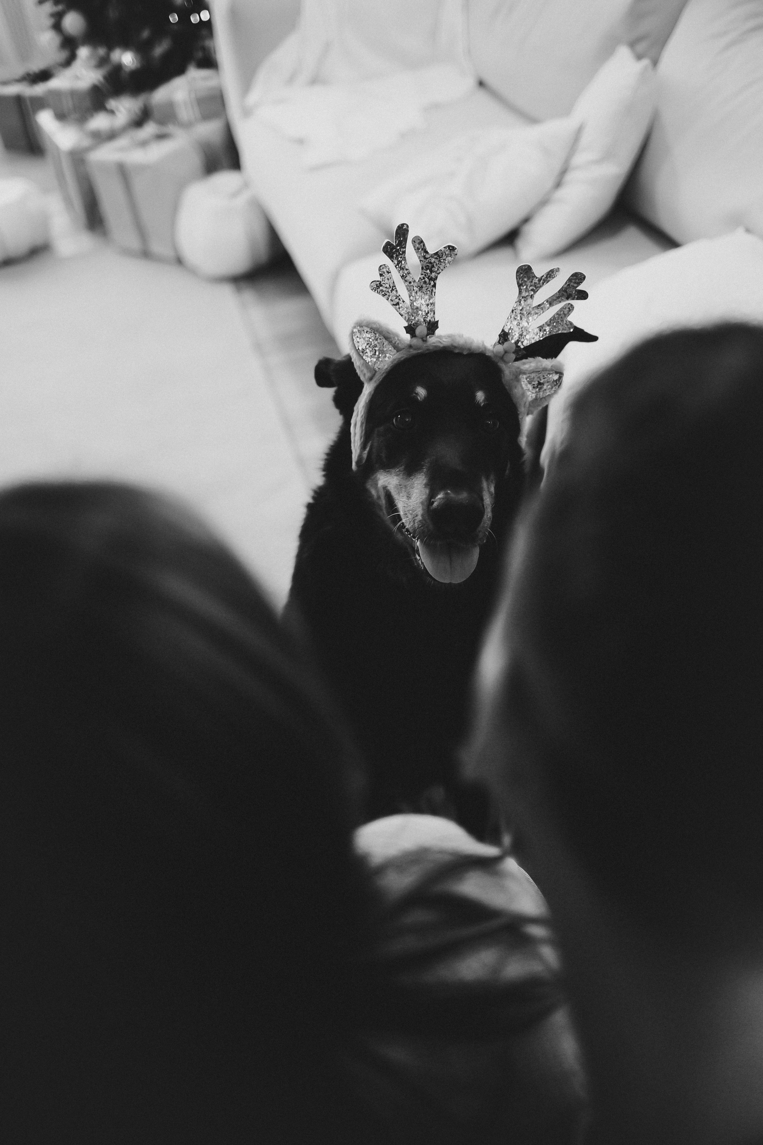 Антон & Полина. Анна Михайлова|Свадебный фотограф в Санкт-Петербурге