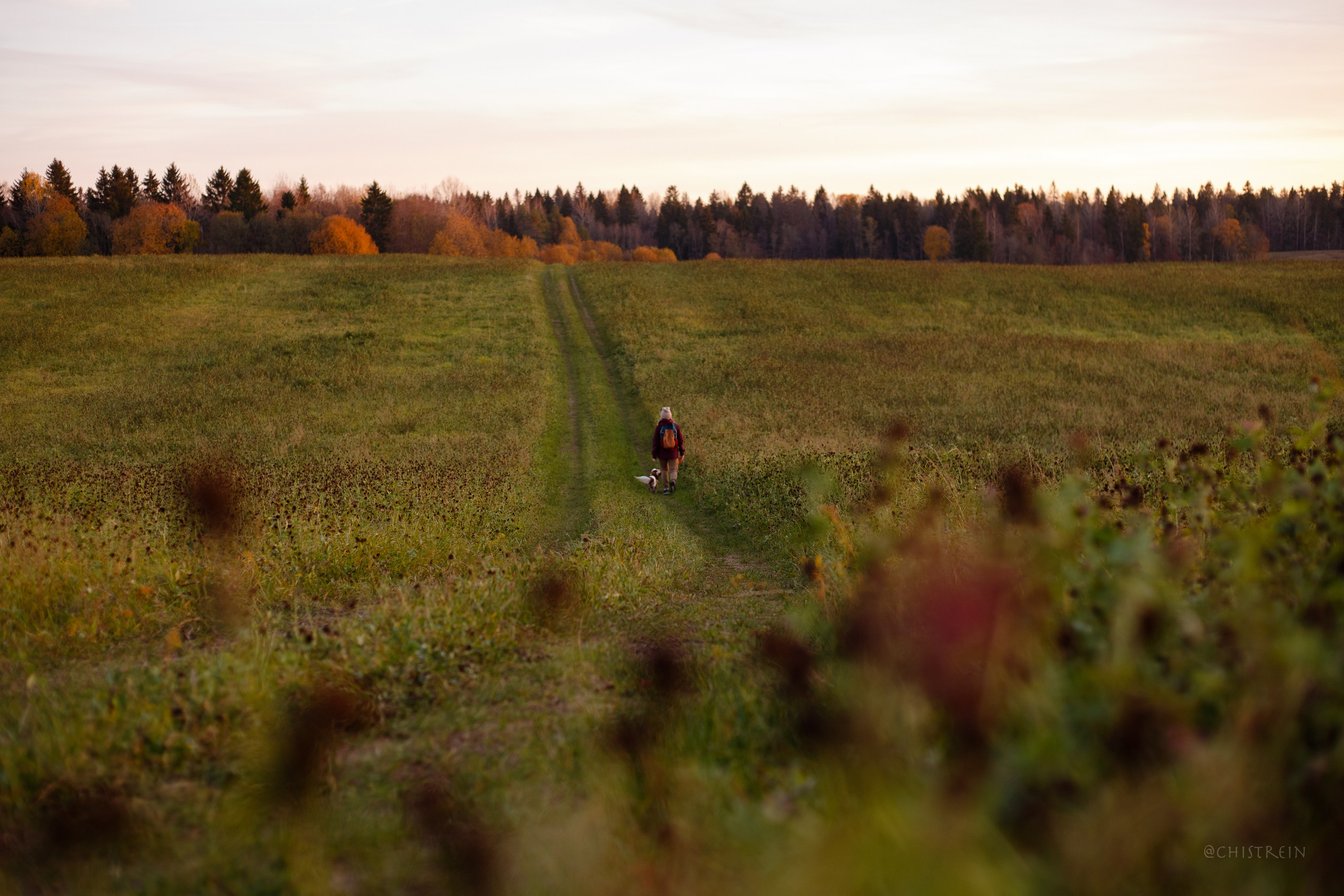 Октябрьский закат в полях. Алина и Лео. Фотограф-анималист Наталия Чистюхина в г. Сосновый Бор и ЛО