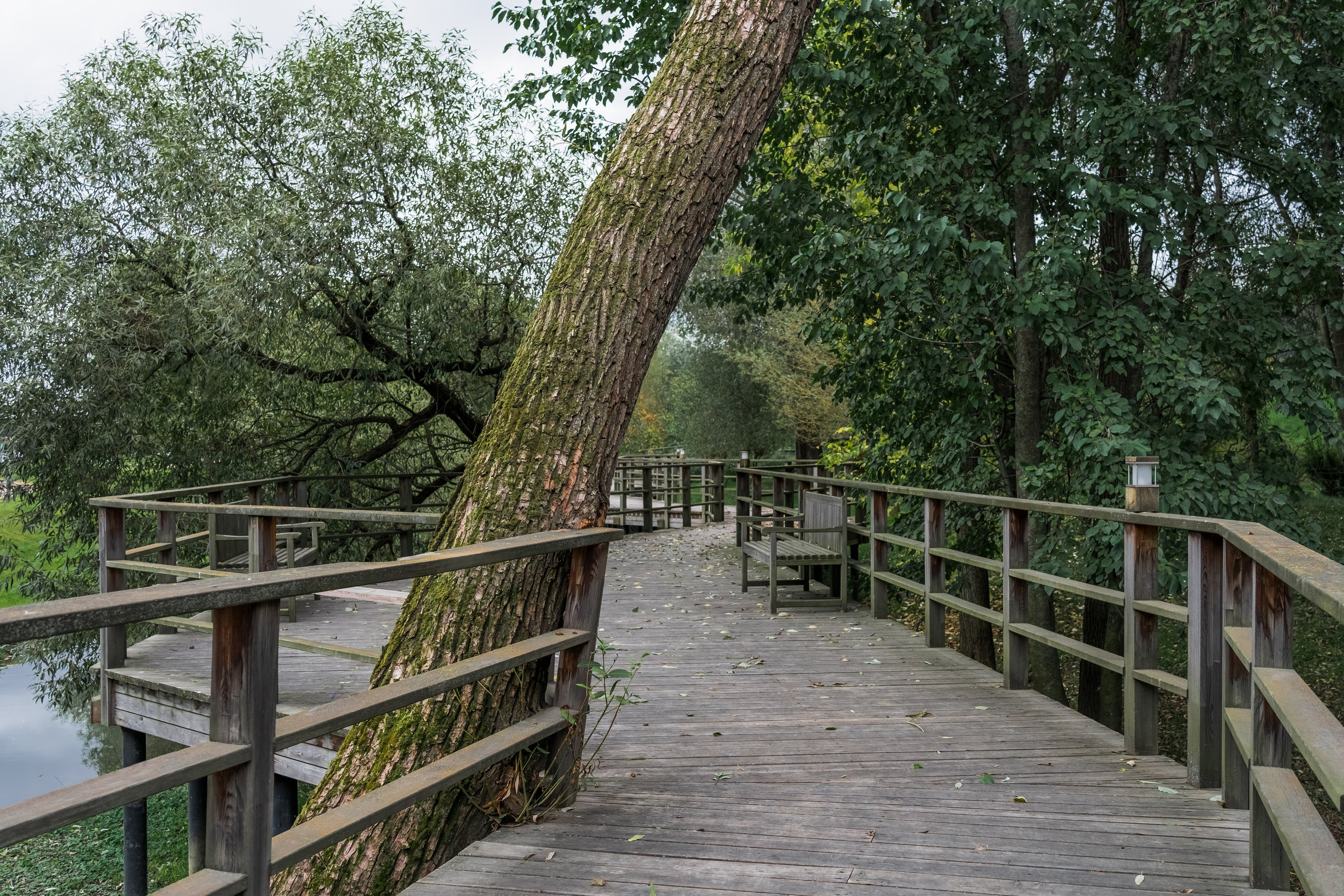 Skolkovo Park. Артамонов Александр | Архитектурный и ландшафтный фотограф