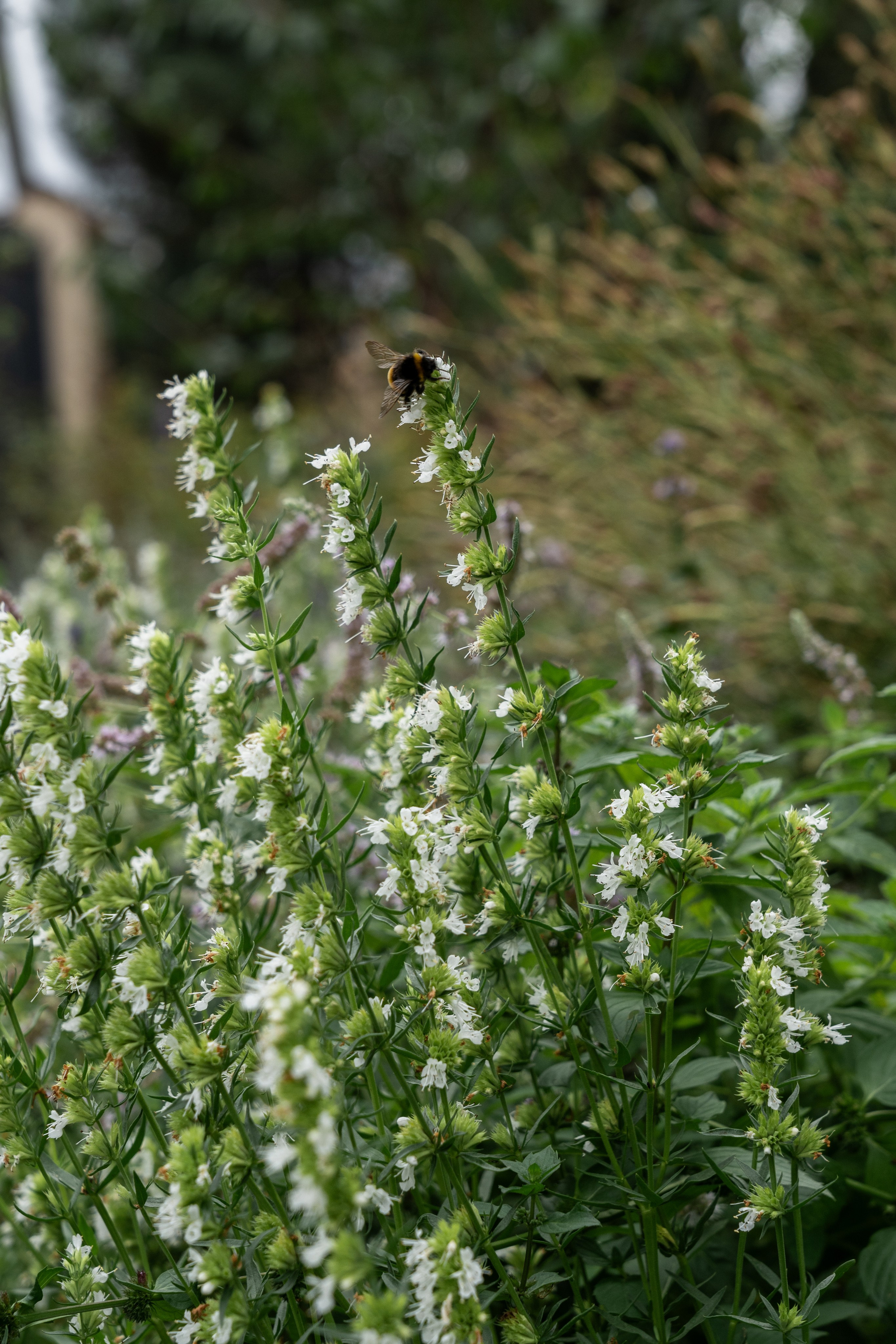 Private house, Moscow region. Артамонов Александр | Архитектурный и ландшафтный фотограф