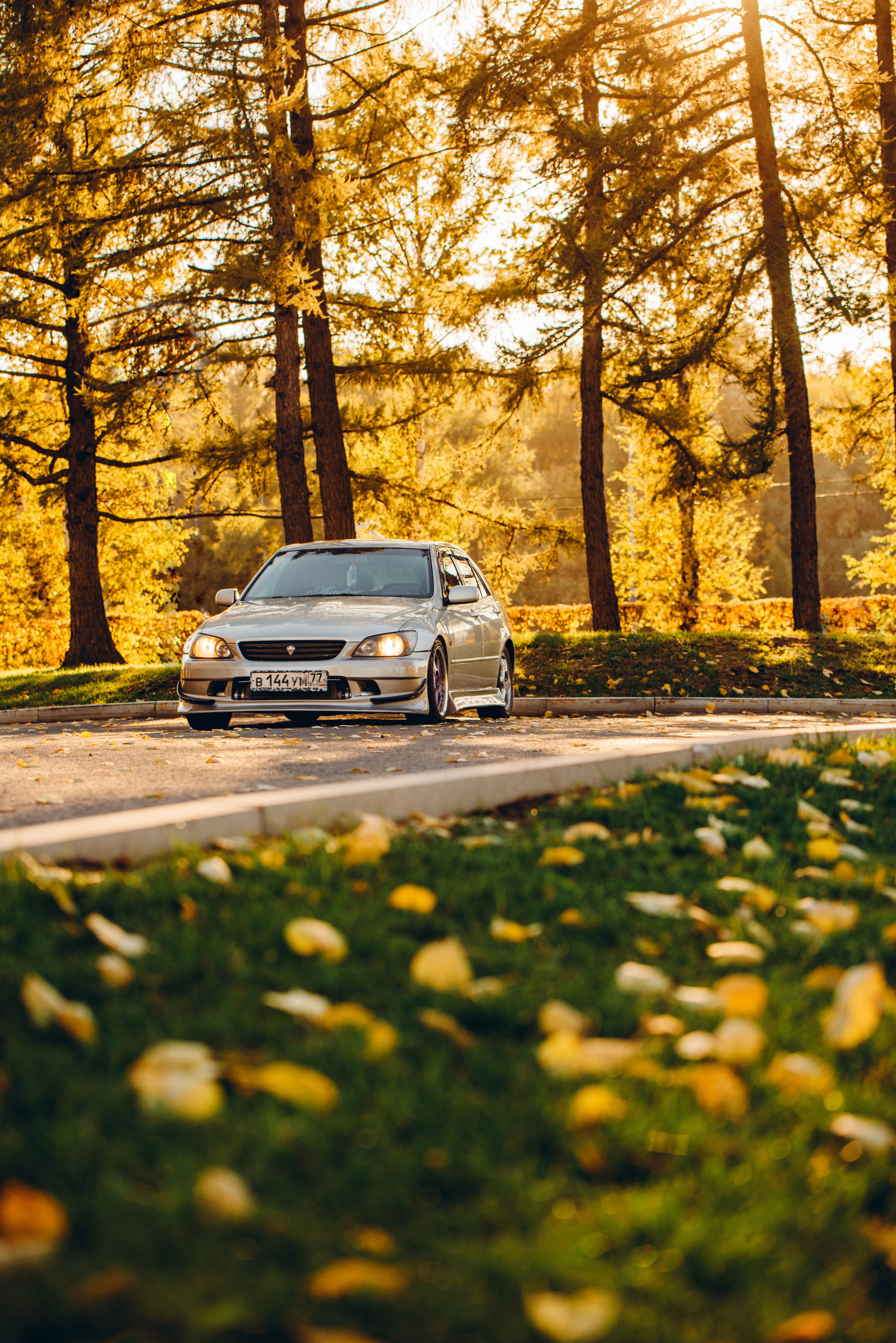 Toyota Altezza dmitry_dry. DeLorein