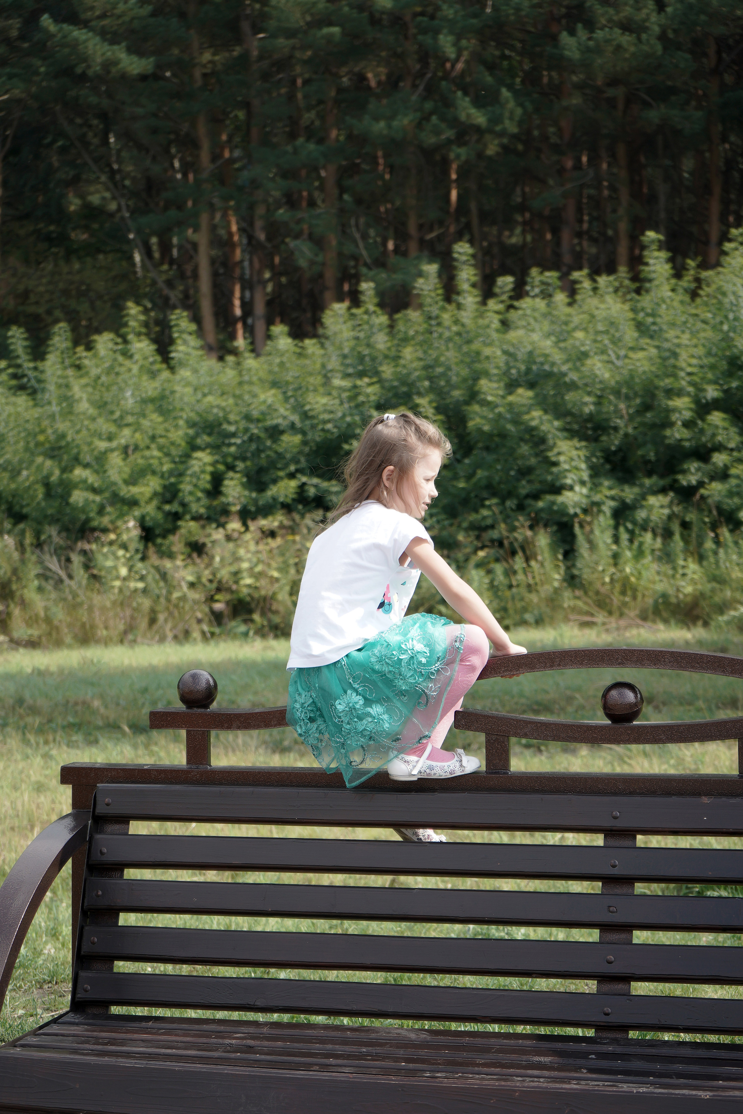 Свадьба полный день. Фотограф, видеооператор Нина Коршунова