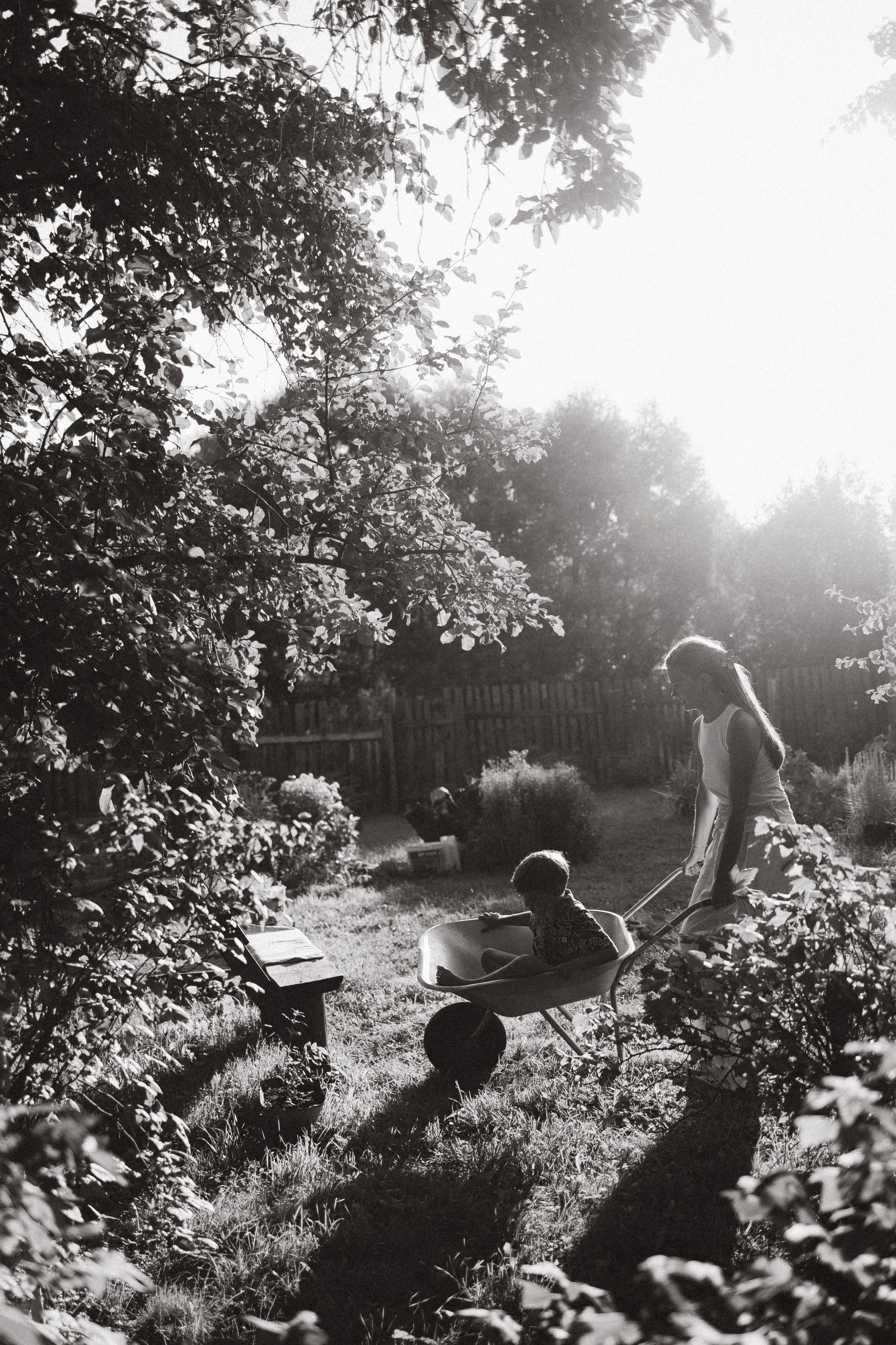 Дачная история. Фотограф в Иваново и Суздале