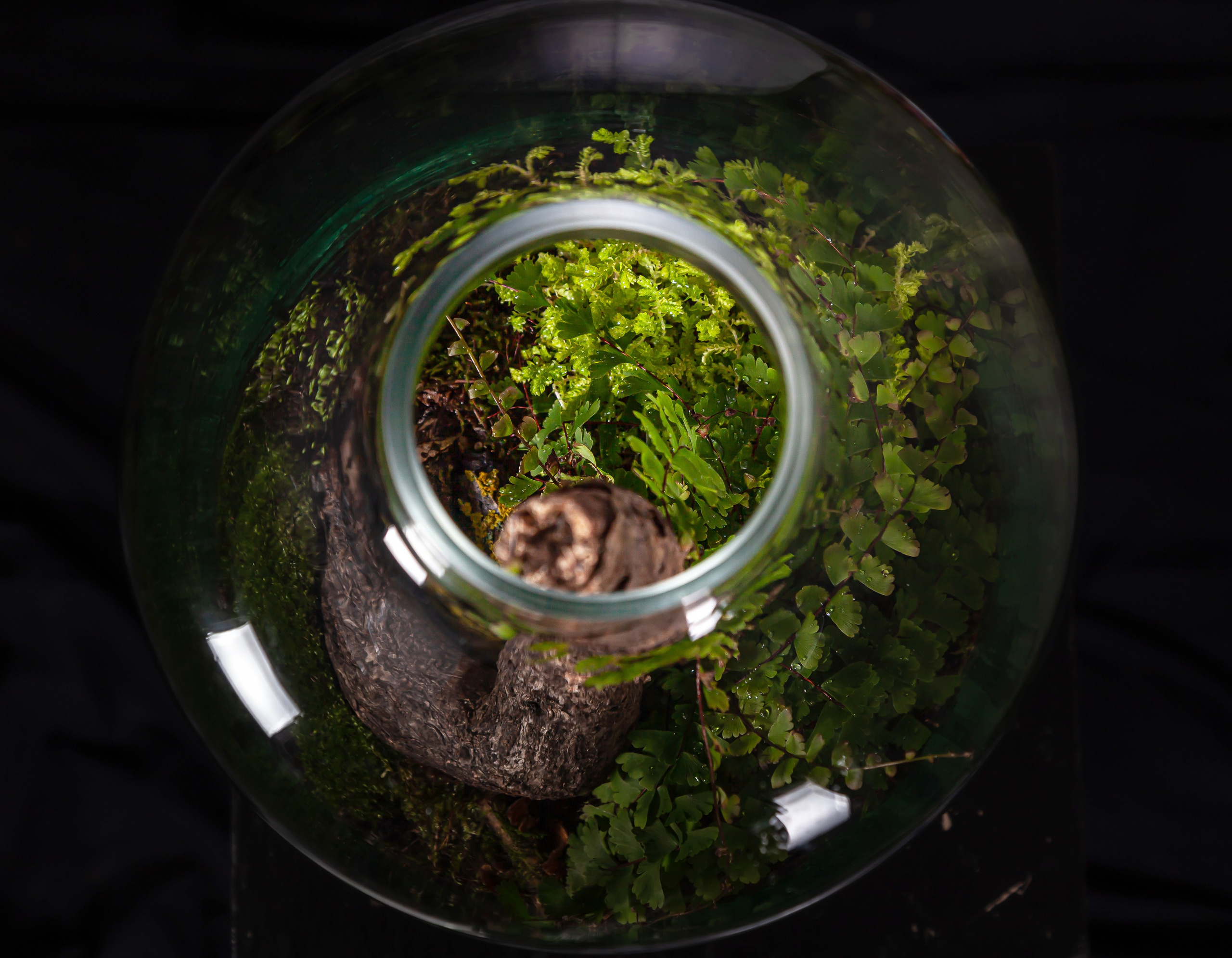 Phitidesigner Andrew Filonenko. Maria Poleshchuk, commercial photographer in Sydney