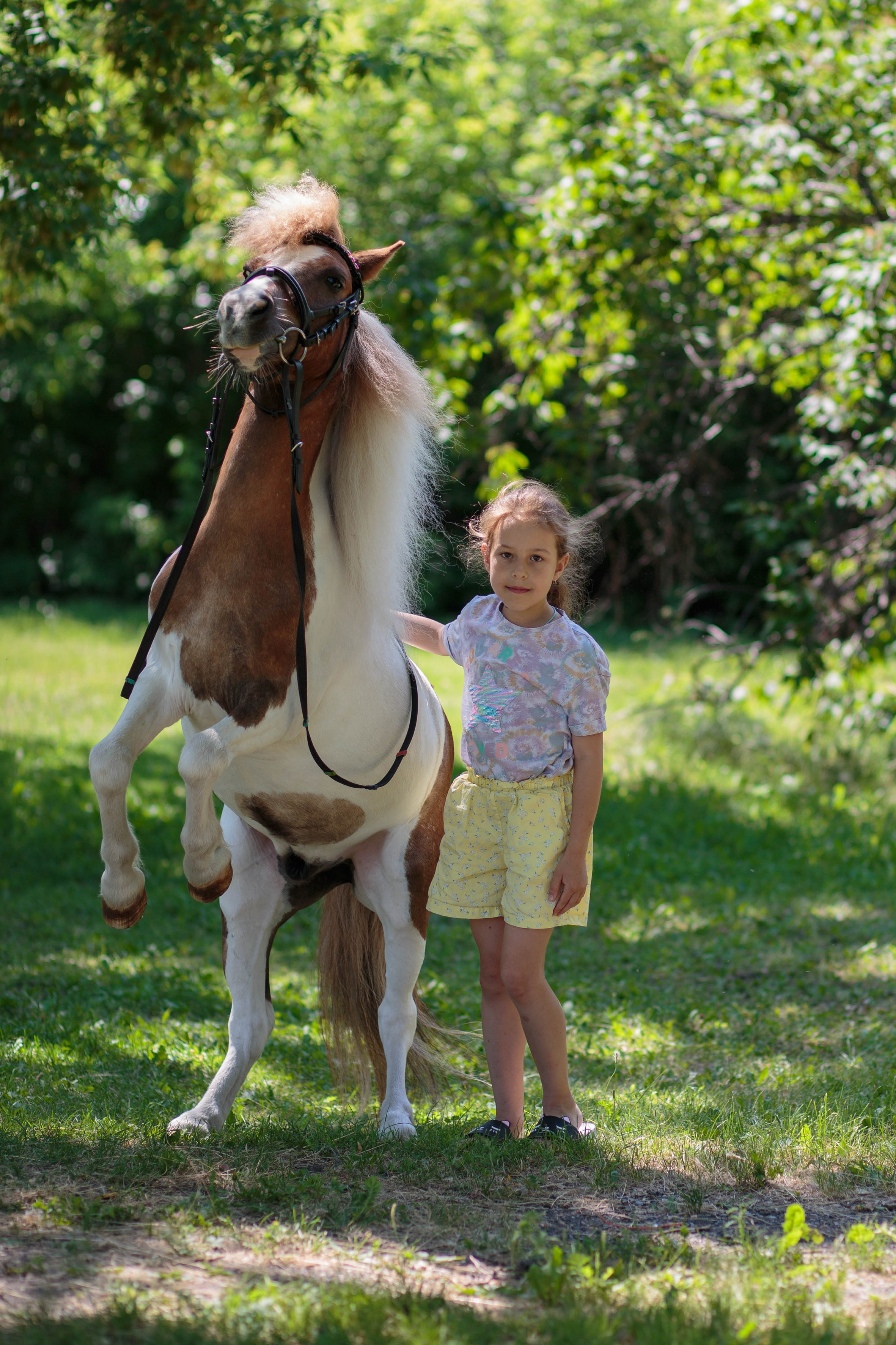 Пони и дети. Конный фотограф в Красноярске — Любовь Похабова