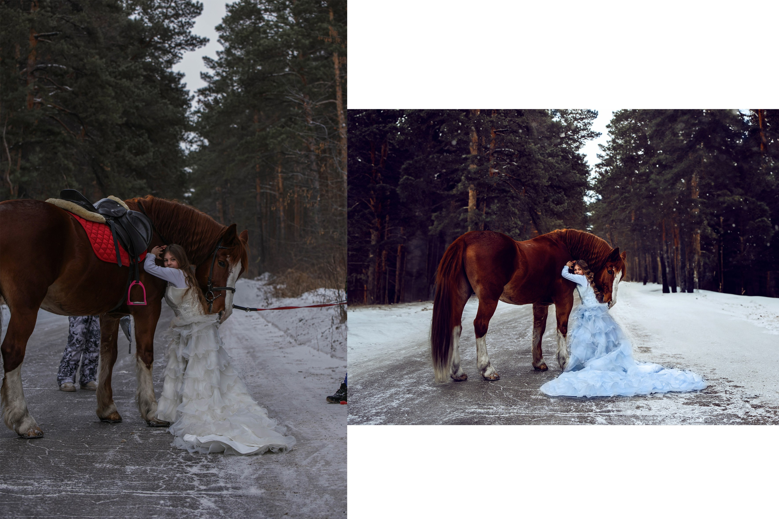 До/После. Конный фотограф в Красноярске — Любовь Похабова