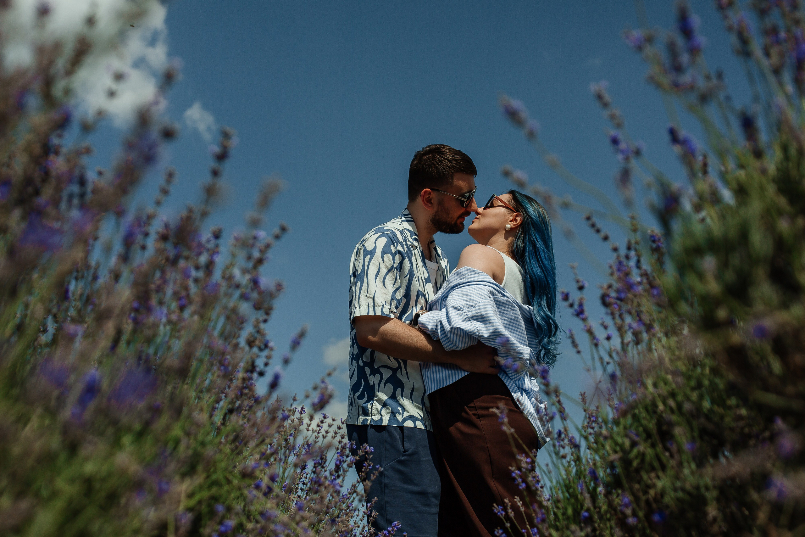 Лавандовые поля