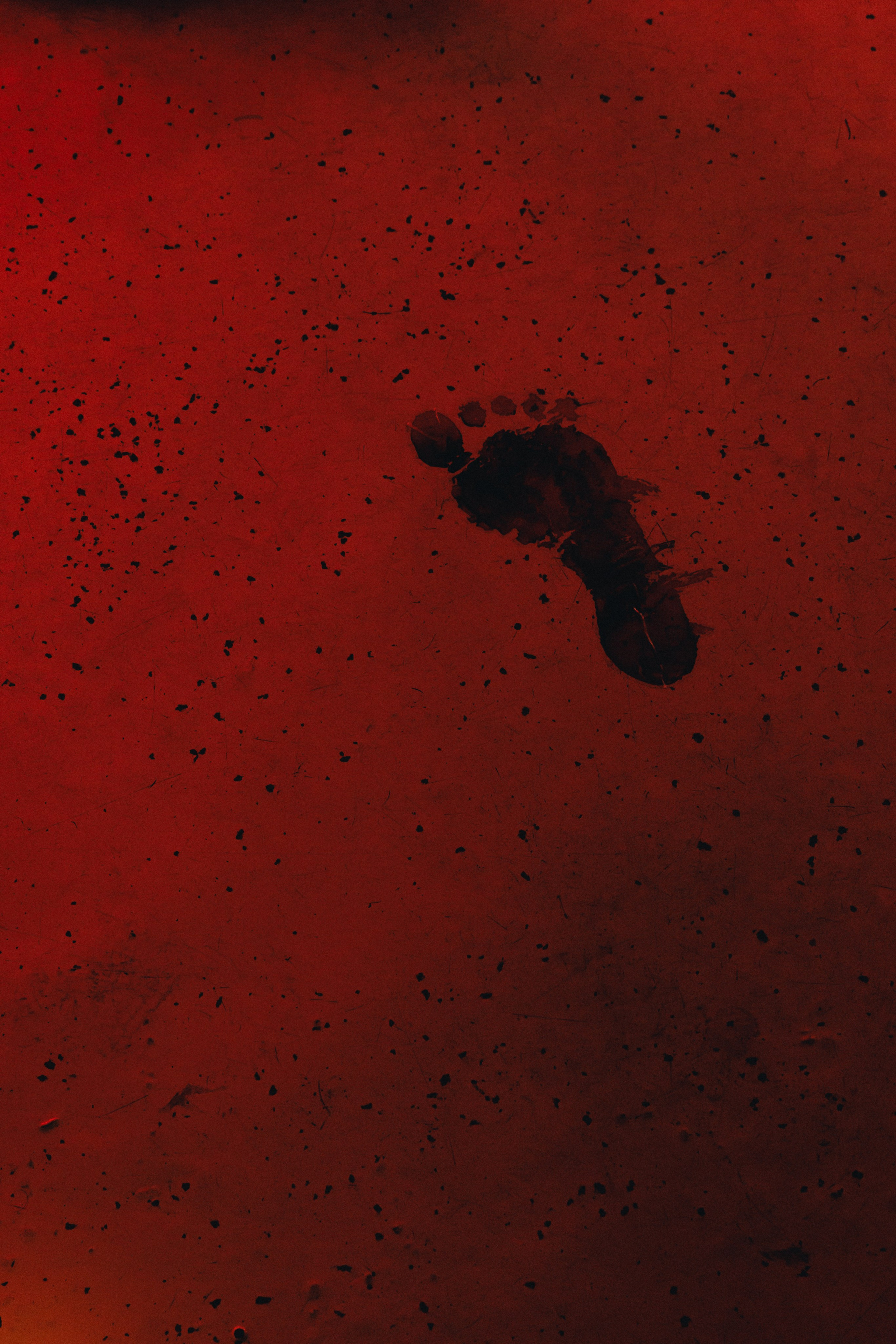 Граф С-Level: Чью кровь я пью?!. South HUB