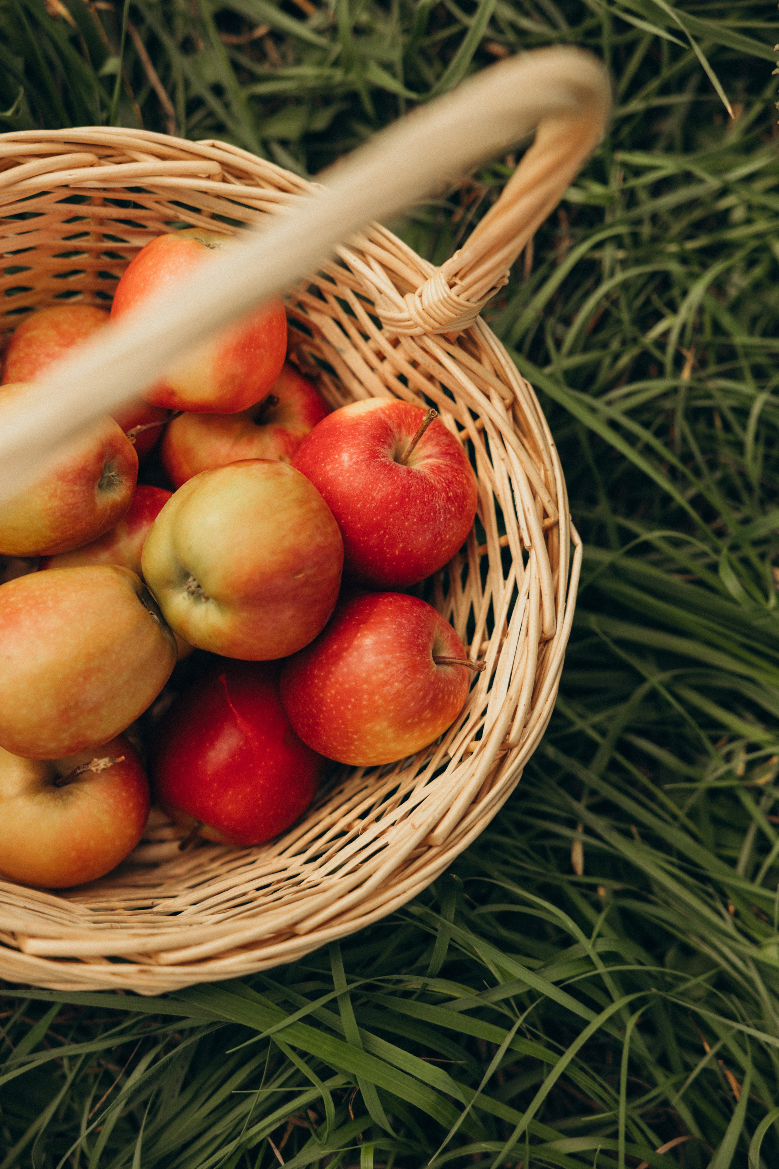Лето…и мама рядом. Фотограф Сотникова Вероника