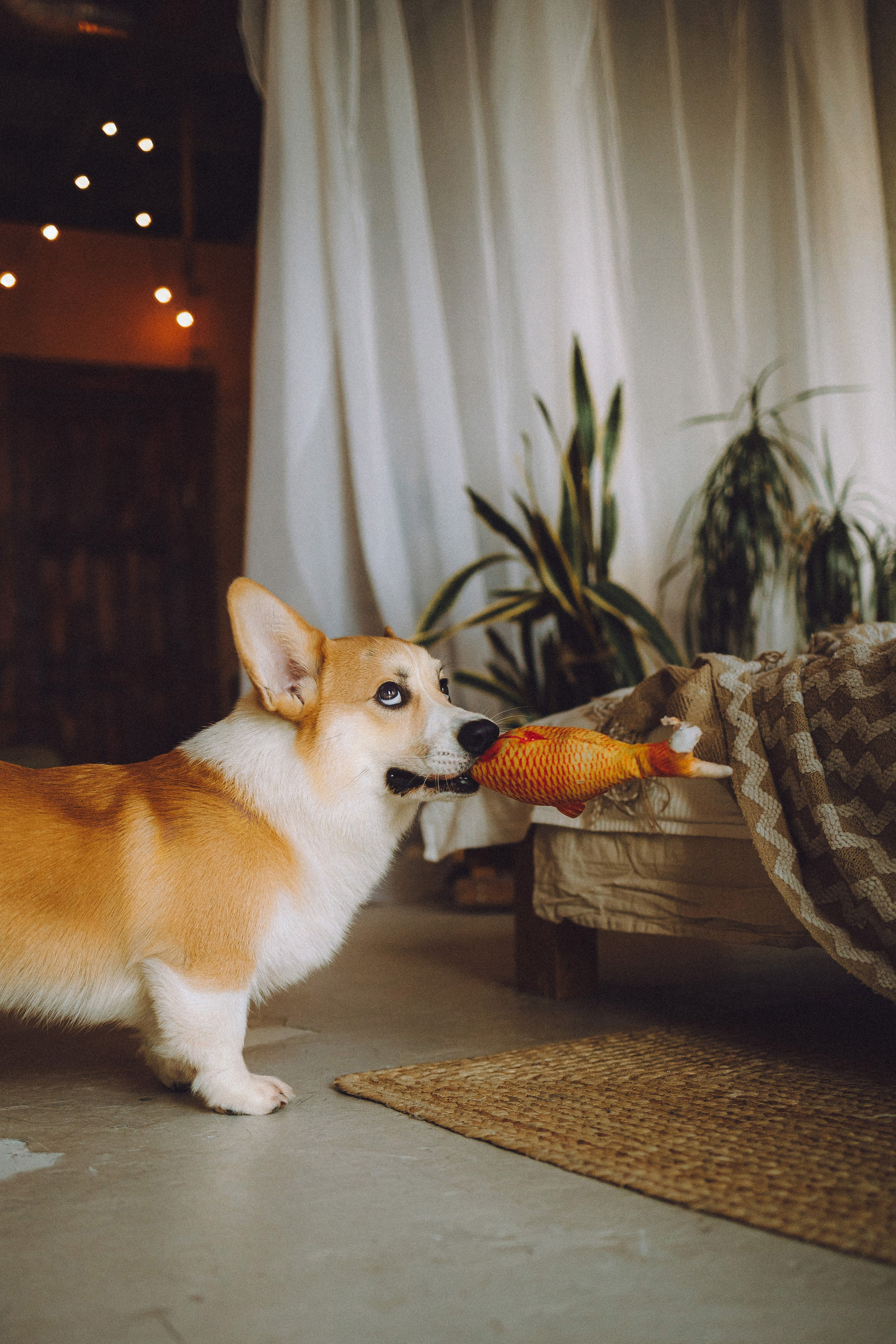 Наталья, Евгений и Мерлин