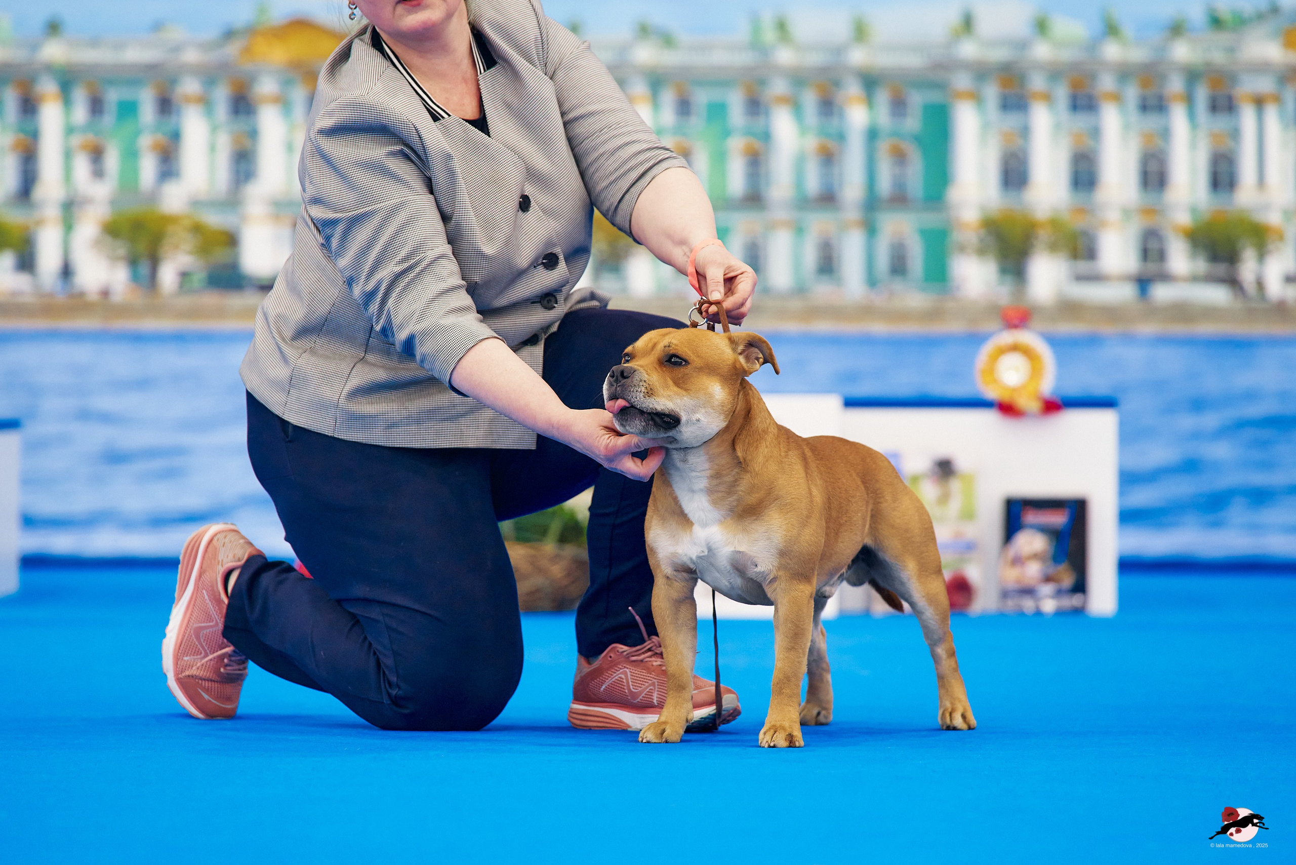27.04.2025 | "Петербург-Элита 2025" & «КУБОК «ЭЛИТЫ»-2025»