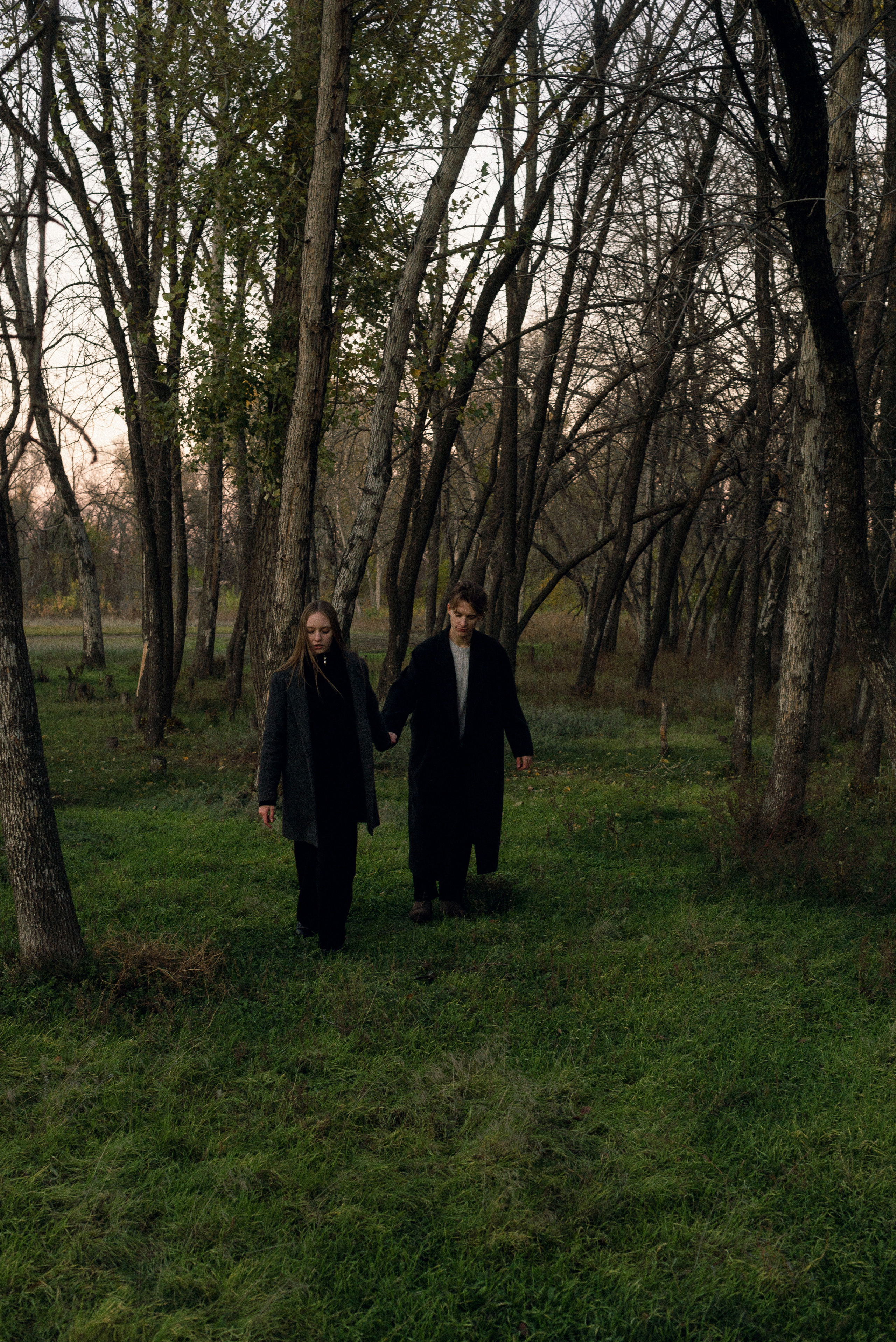 Максим + Алена. Фотограф Дарья Зотова