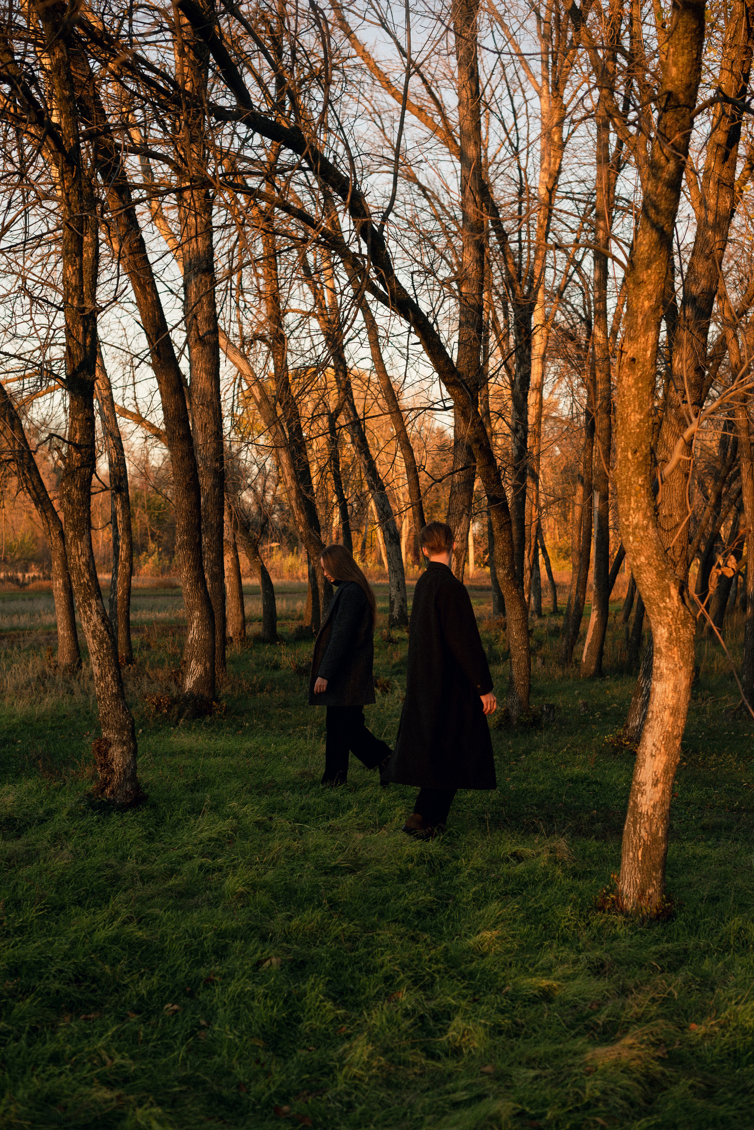 Максим + Алена. Фотограф Дарья Зотова