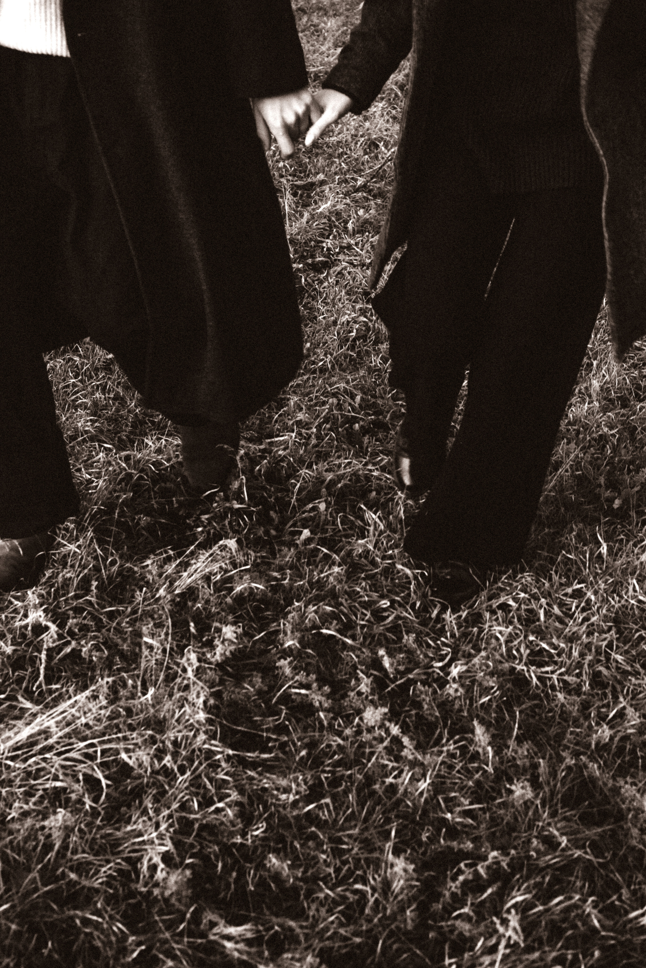 Максим + Алена. Фотограф Дарья Зотова