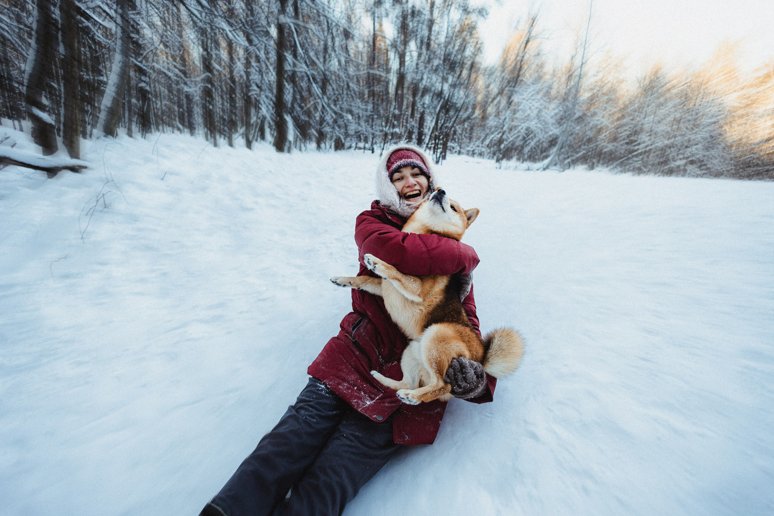 Шед, Цири и Ира