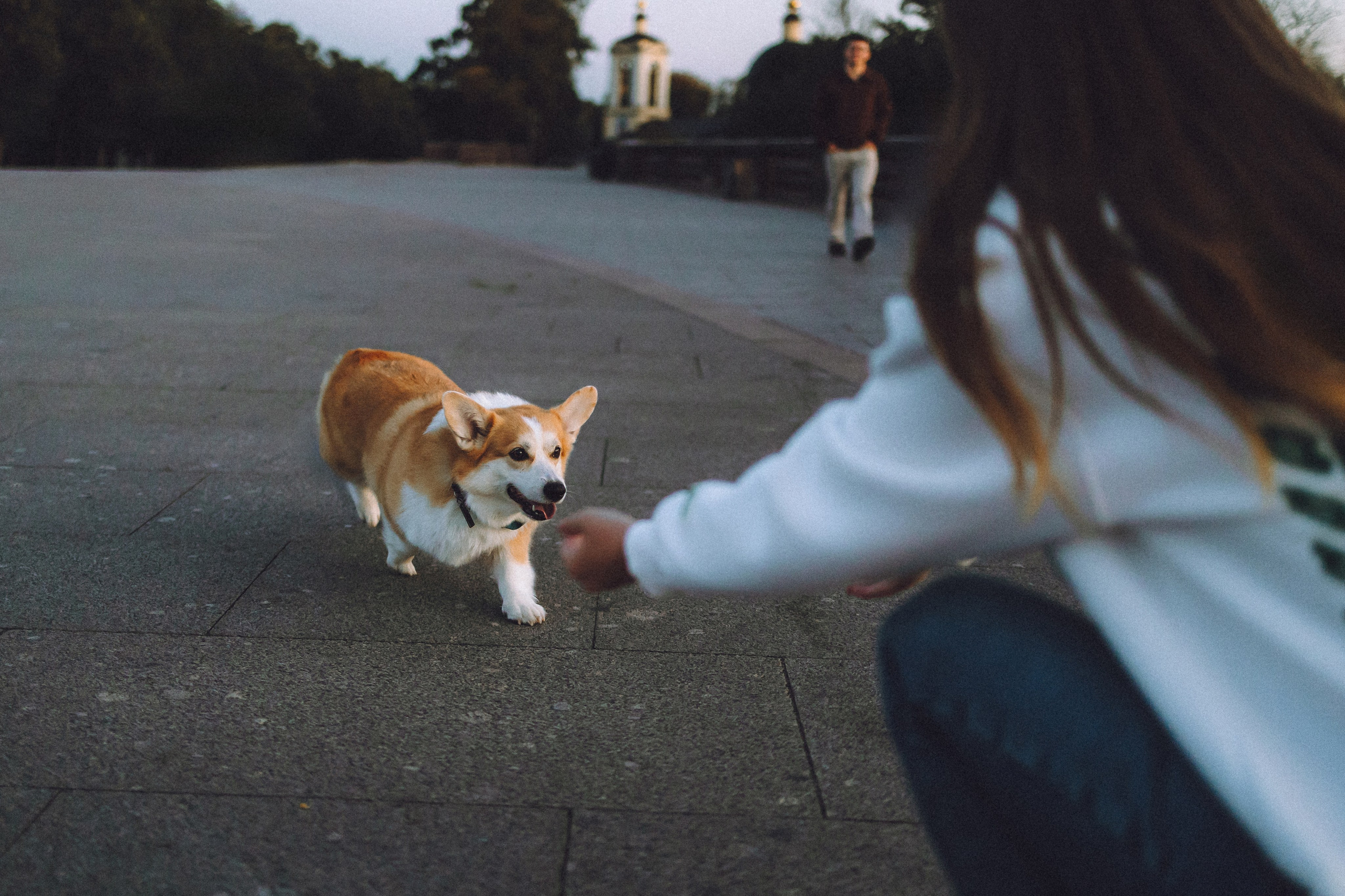 Пуговка и ее семья