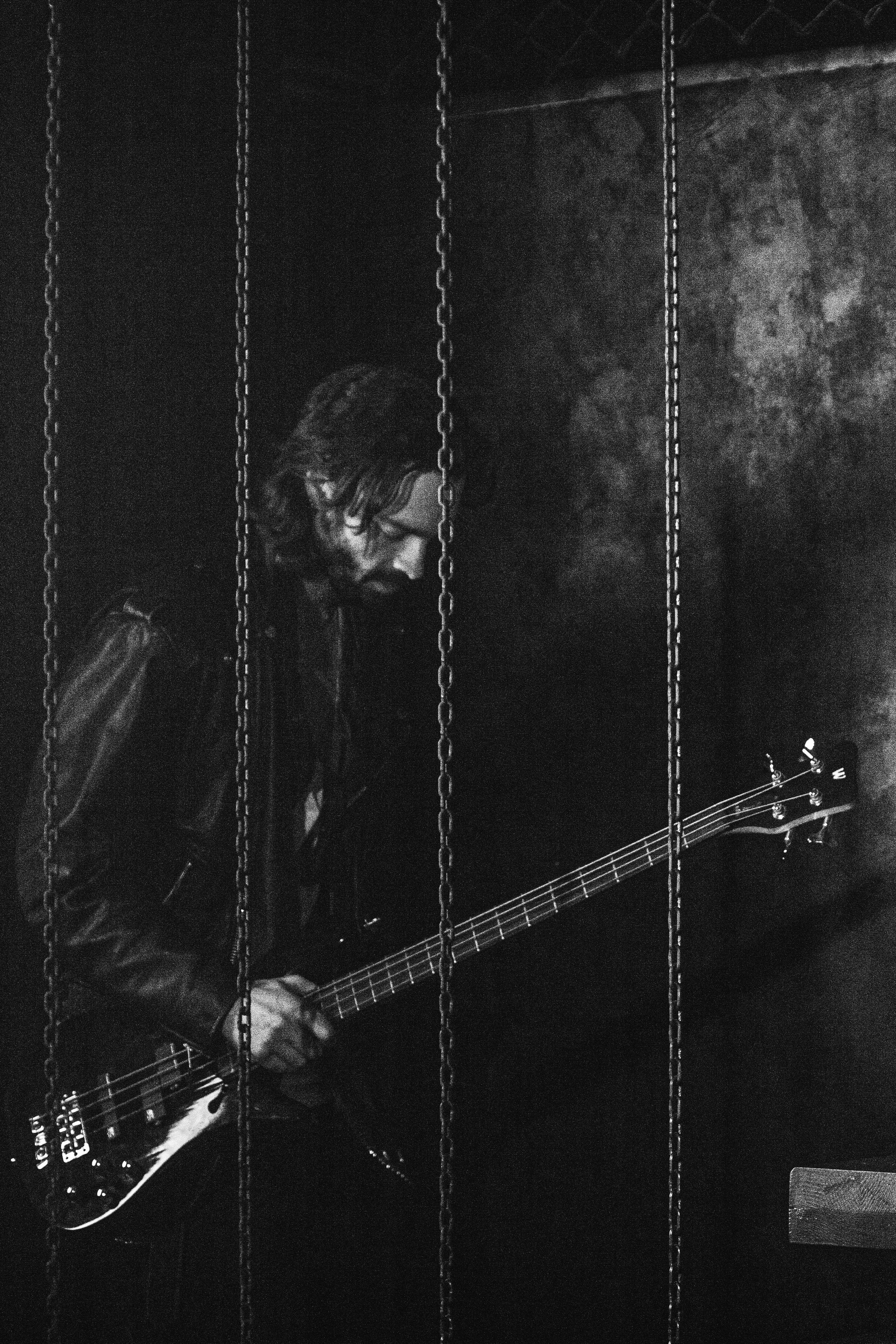 Art-съёмка. Фотограф анималист — Тула, Москва