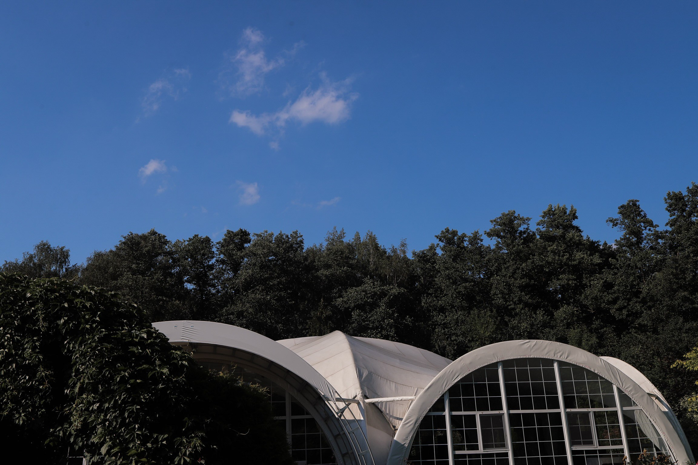 Corona и Gucci. Свадебный и семейный фотограф в Балашихе и в Москве