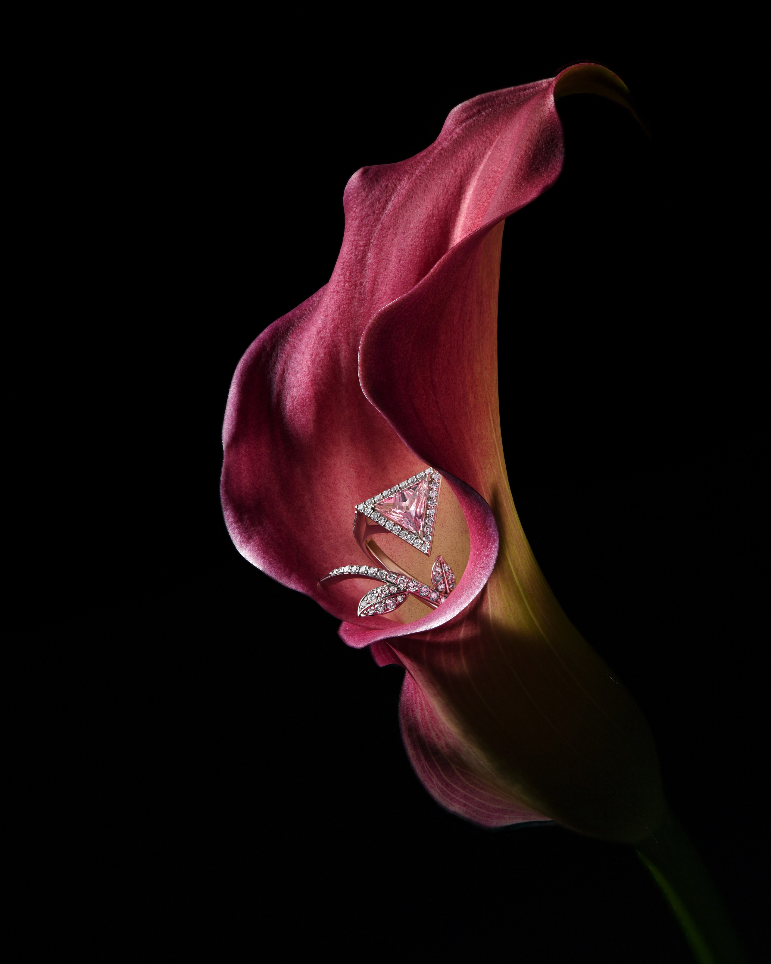 Предметная фотосъемка ювелирных изделий. Ювелирный фотограф